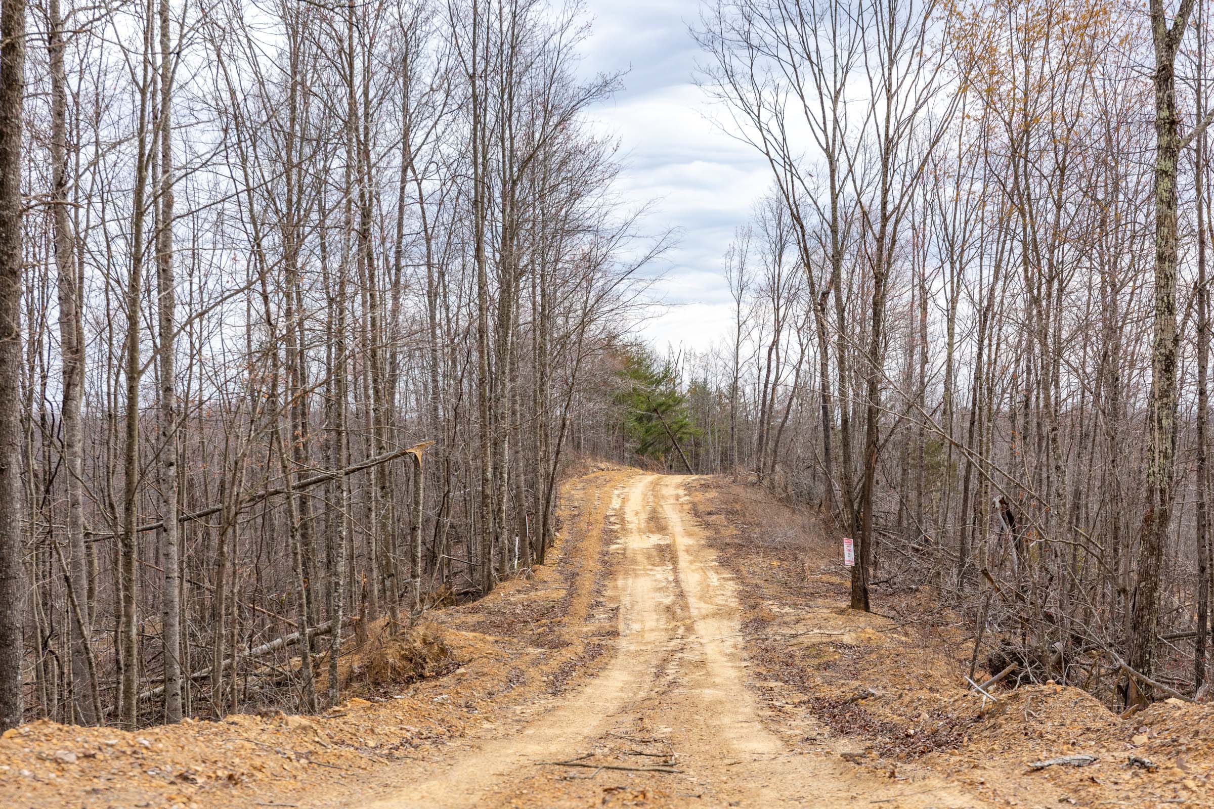 Creek Hollow Phase I Tract 32 photo 7