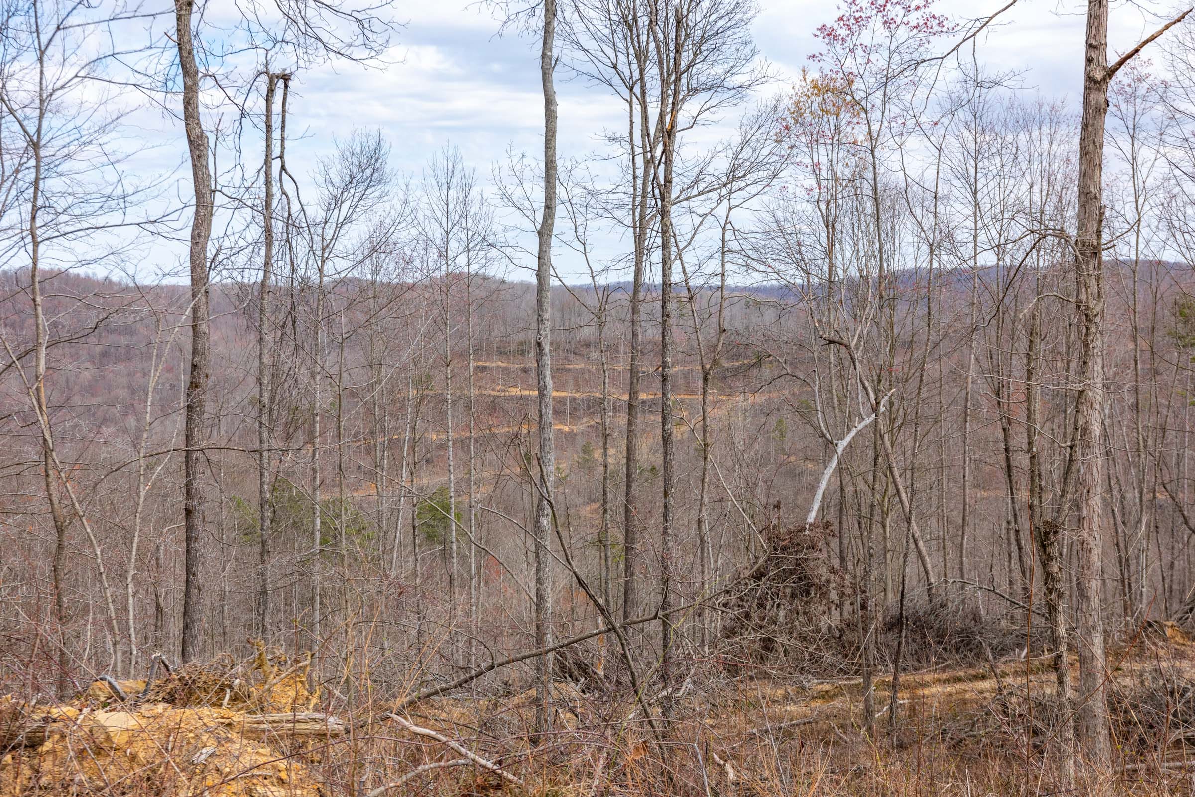 Creek Hollow Phase I Tract 32 photo 5