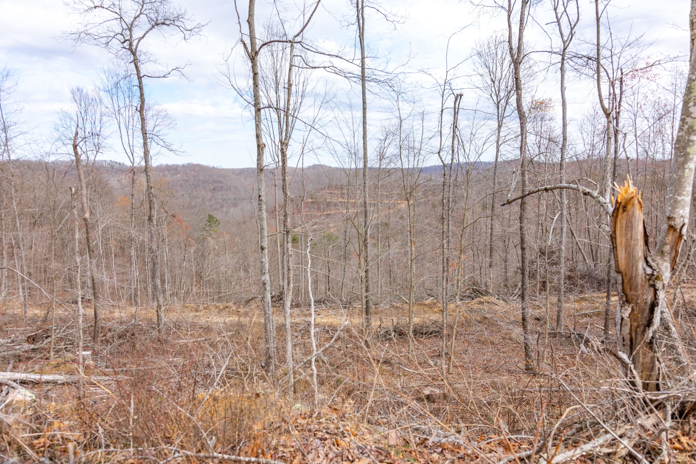 Creek Hollow Phase I Tract 32 photo 6
