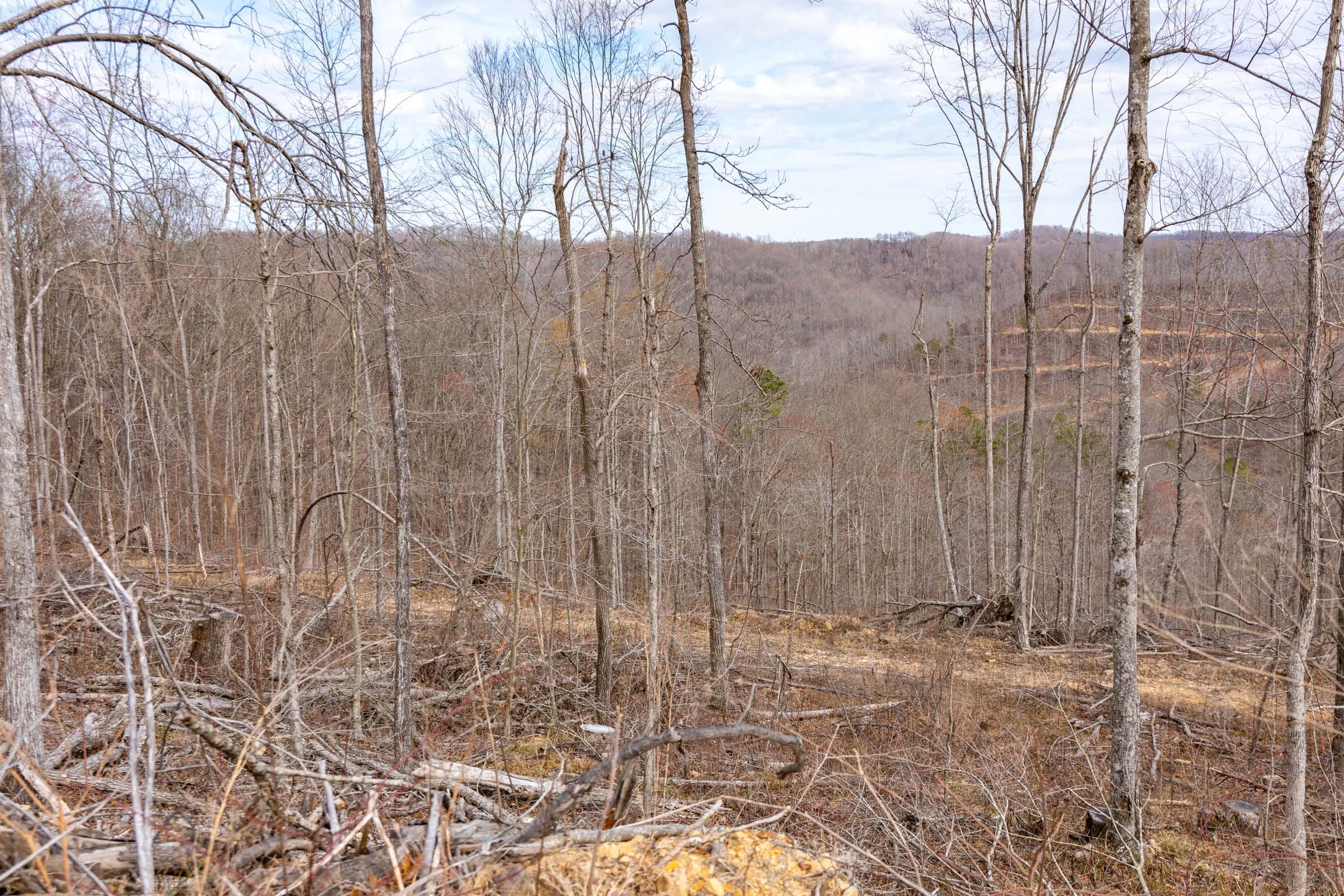 Creek Hollow Phase I Tract 32 photo 8
