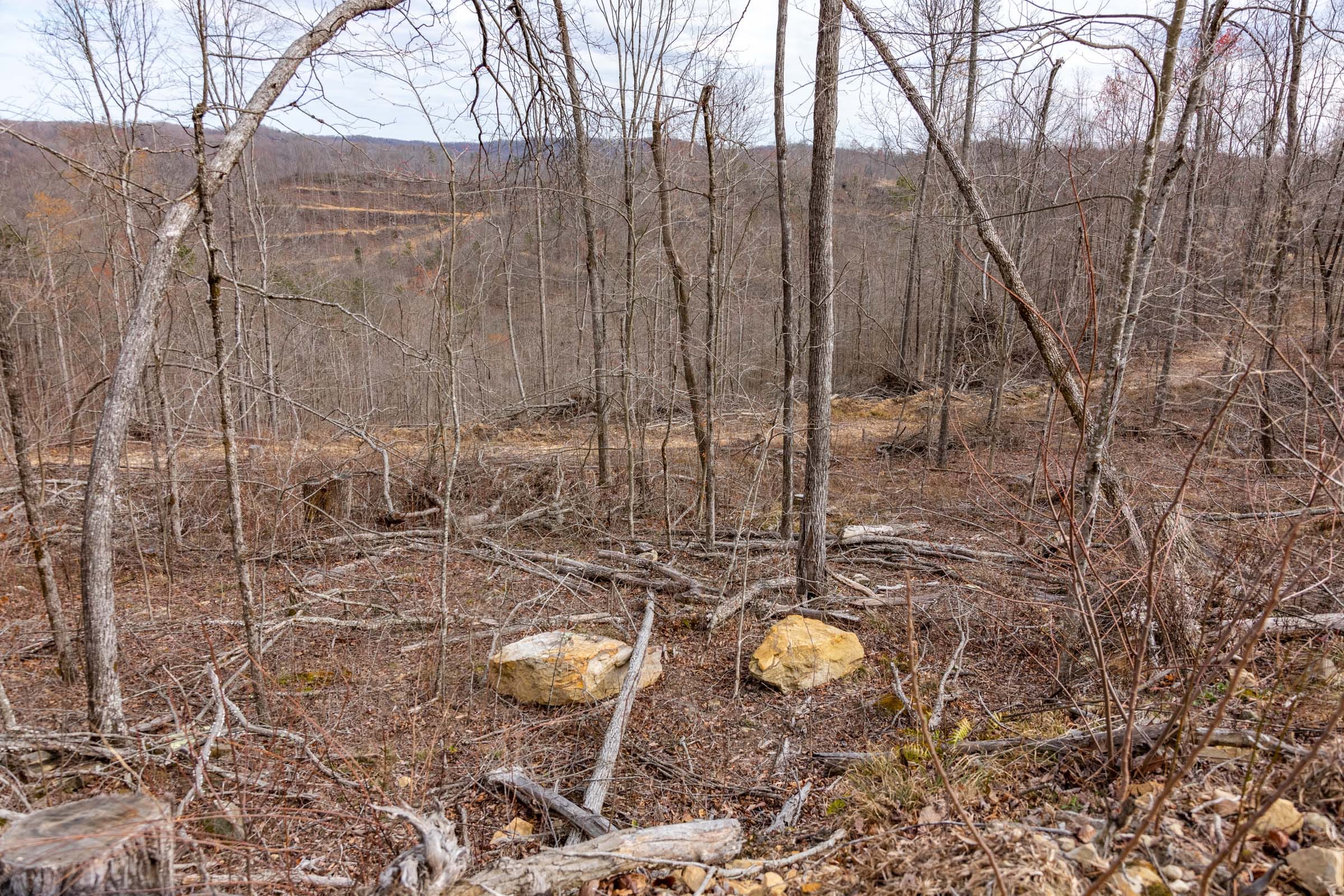 Creek Hollow Phase I Tract 32 photo 9