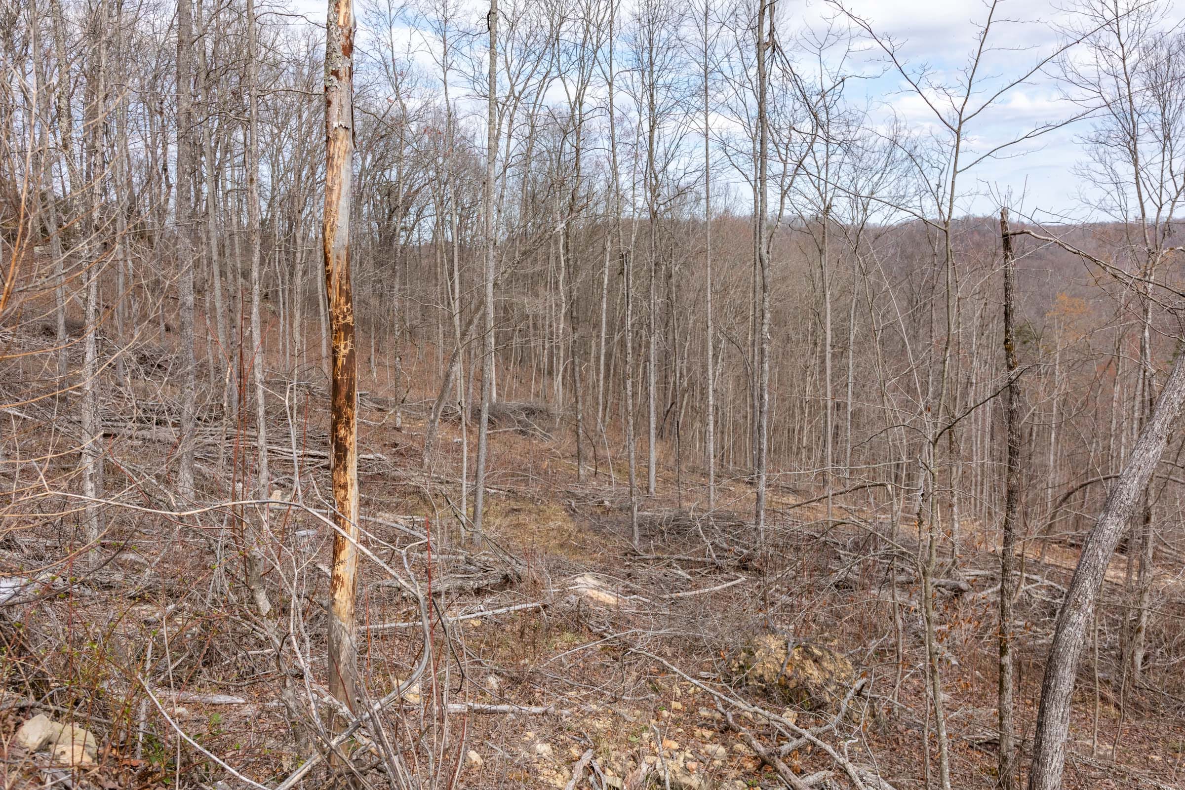 Creek Hollow Phase I Tract 32 photo 11