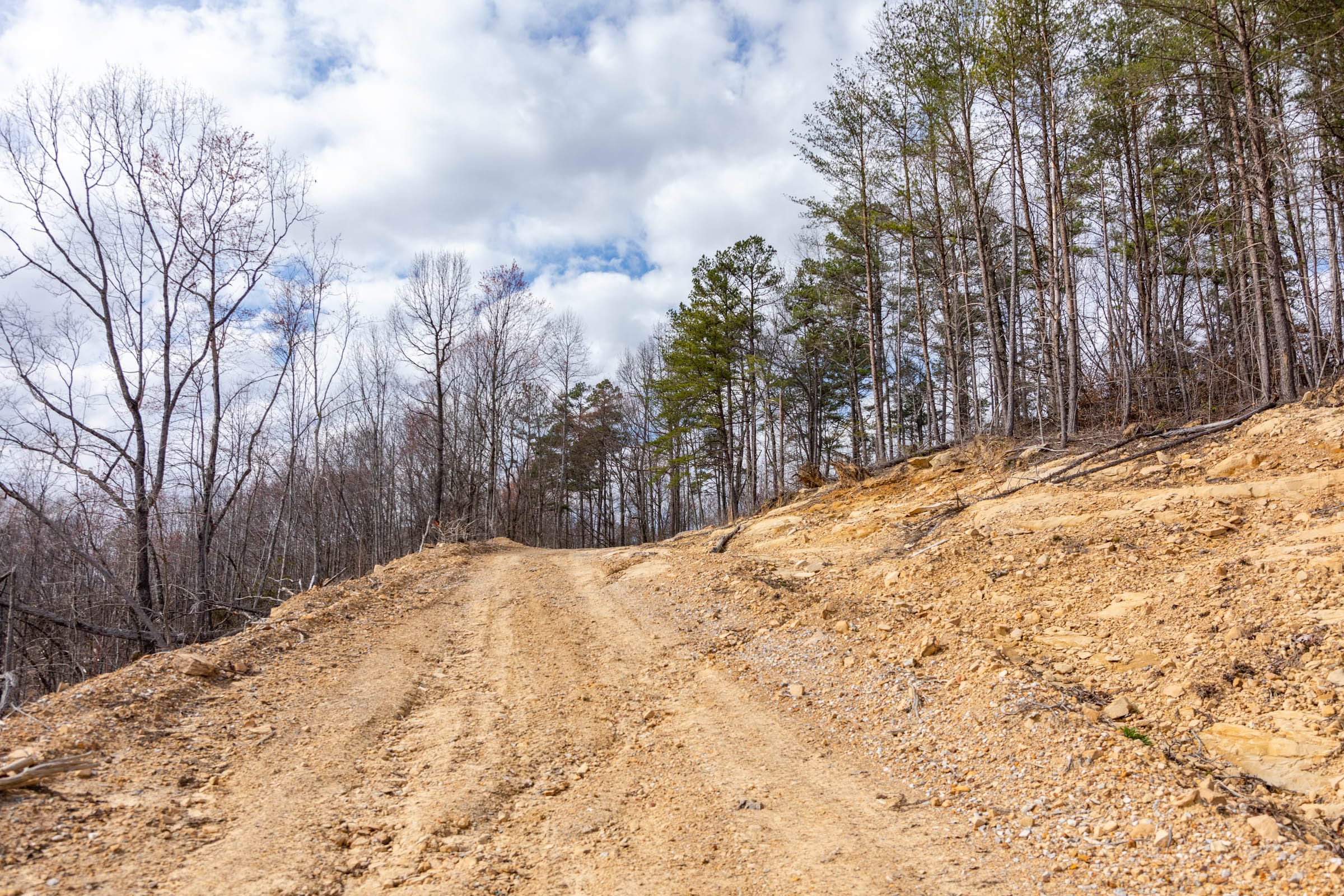 Creek Hollow Phase I Tract 32 photo 10