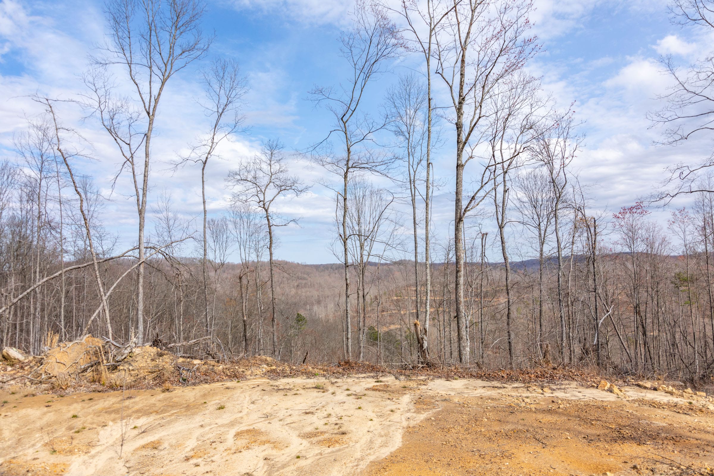 Creek Hollow Phase I Tract 32 photo 13