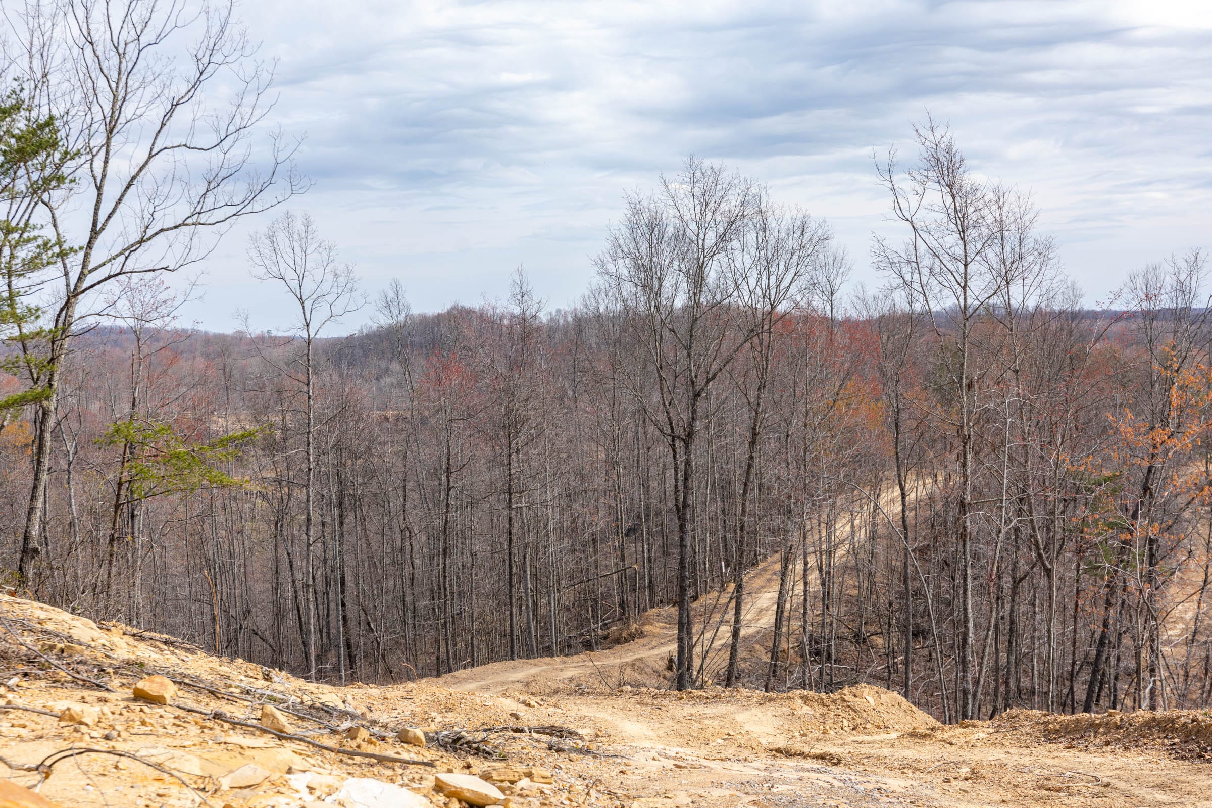Creek Hollow Phase I Tract 32 photo 15