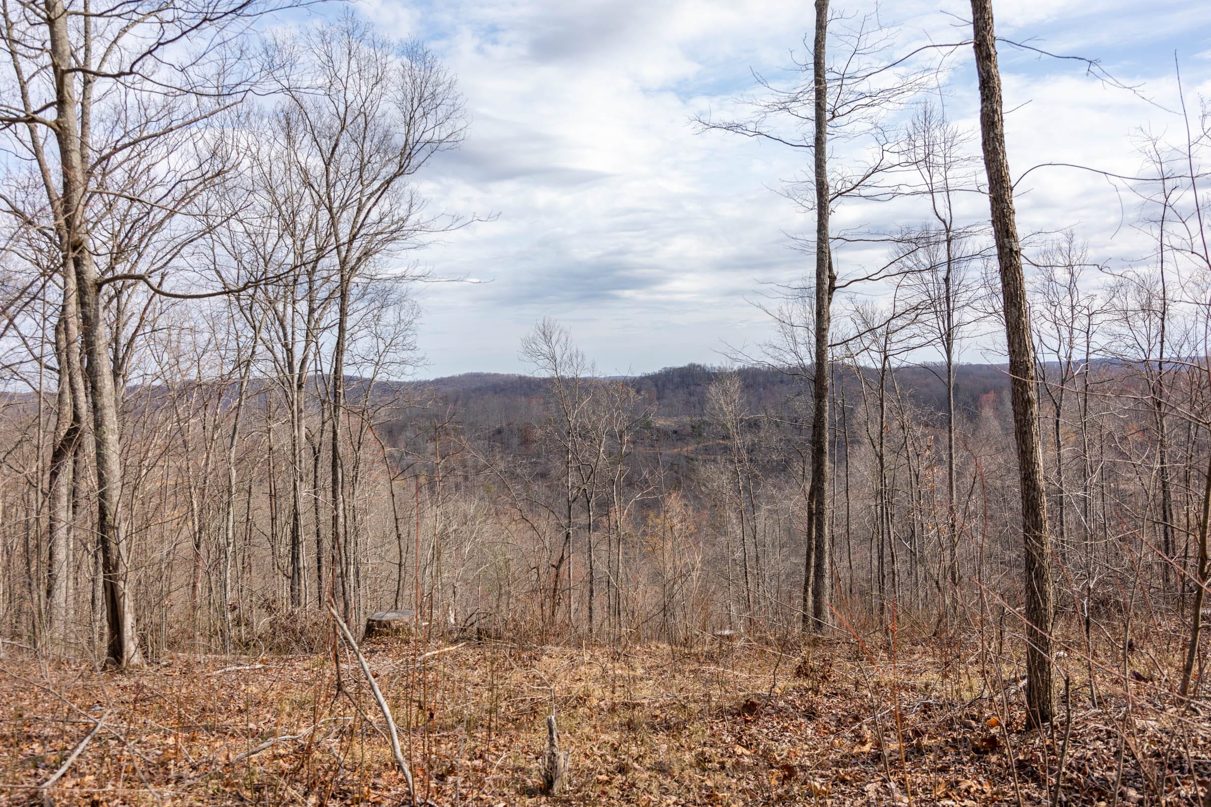 Creek Hollow Phase I Tract 32 photo 14