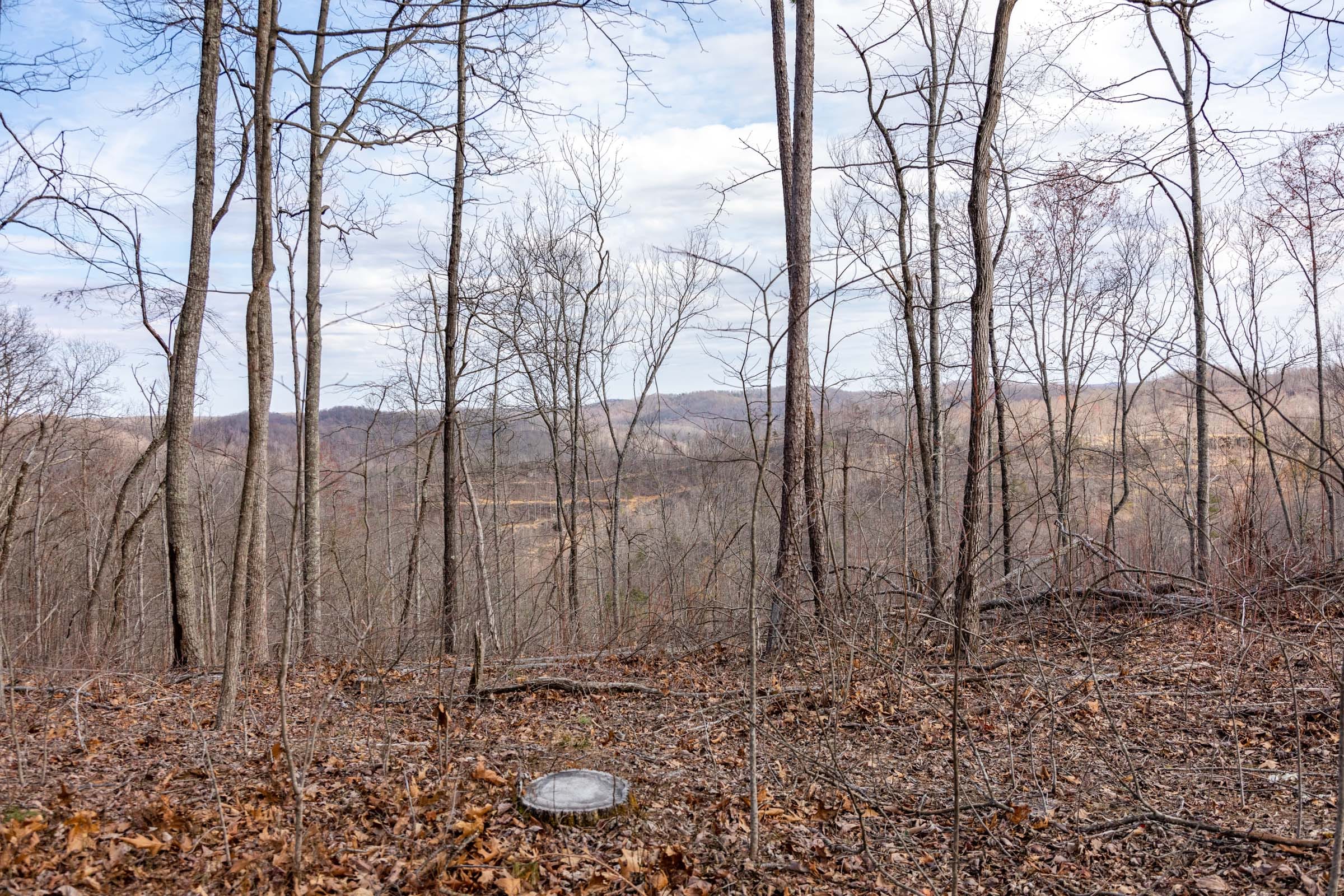 Creek Hollow Phase I Tract 32 photo 16