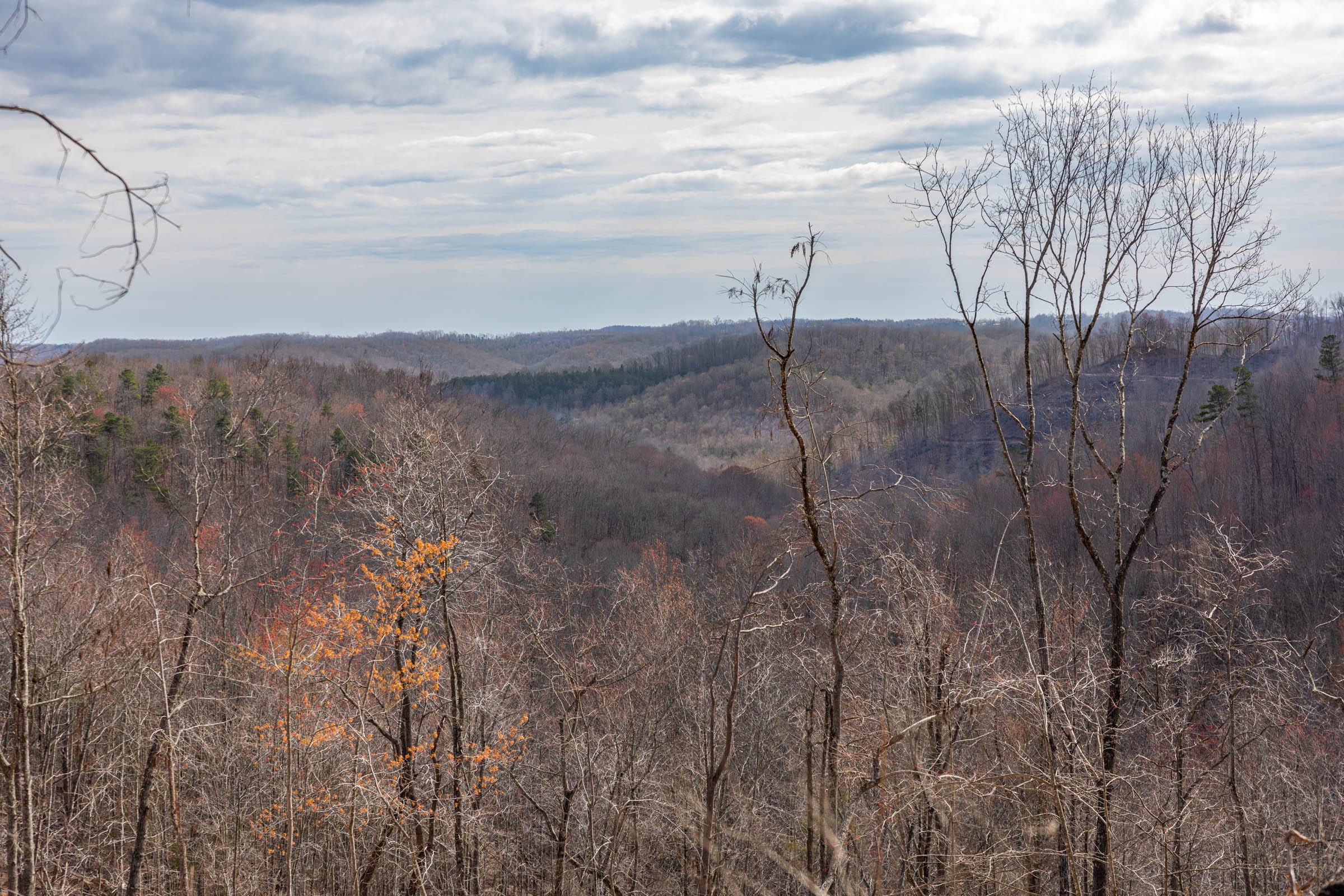 Creek Hollow Phase I Tract 32 photo 18