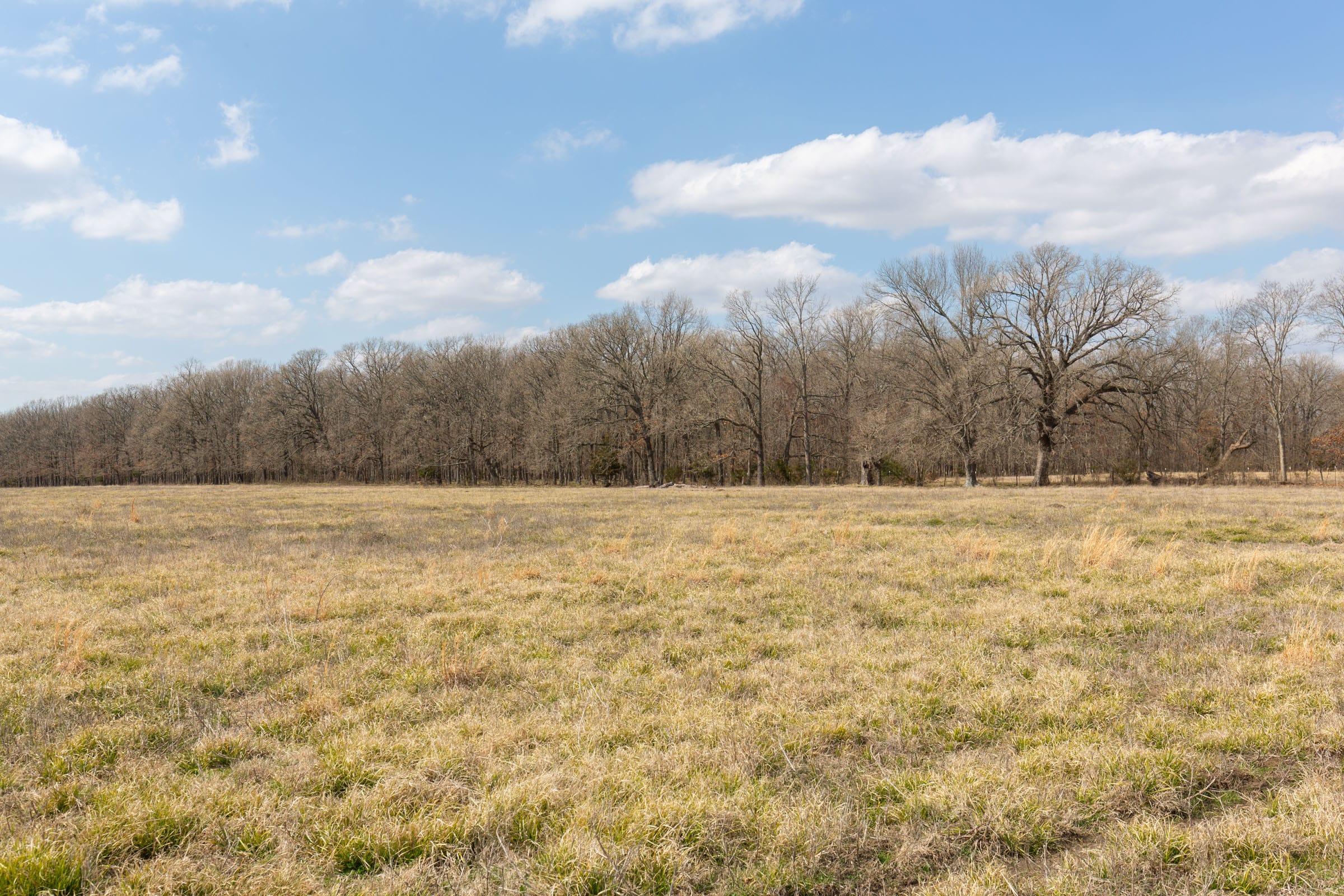 Wishing Star Ranch Tract 70 photo 2