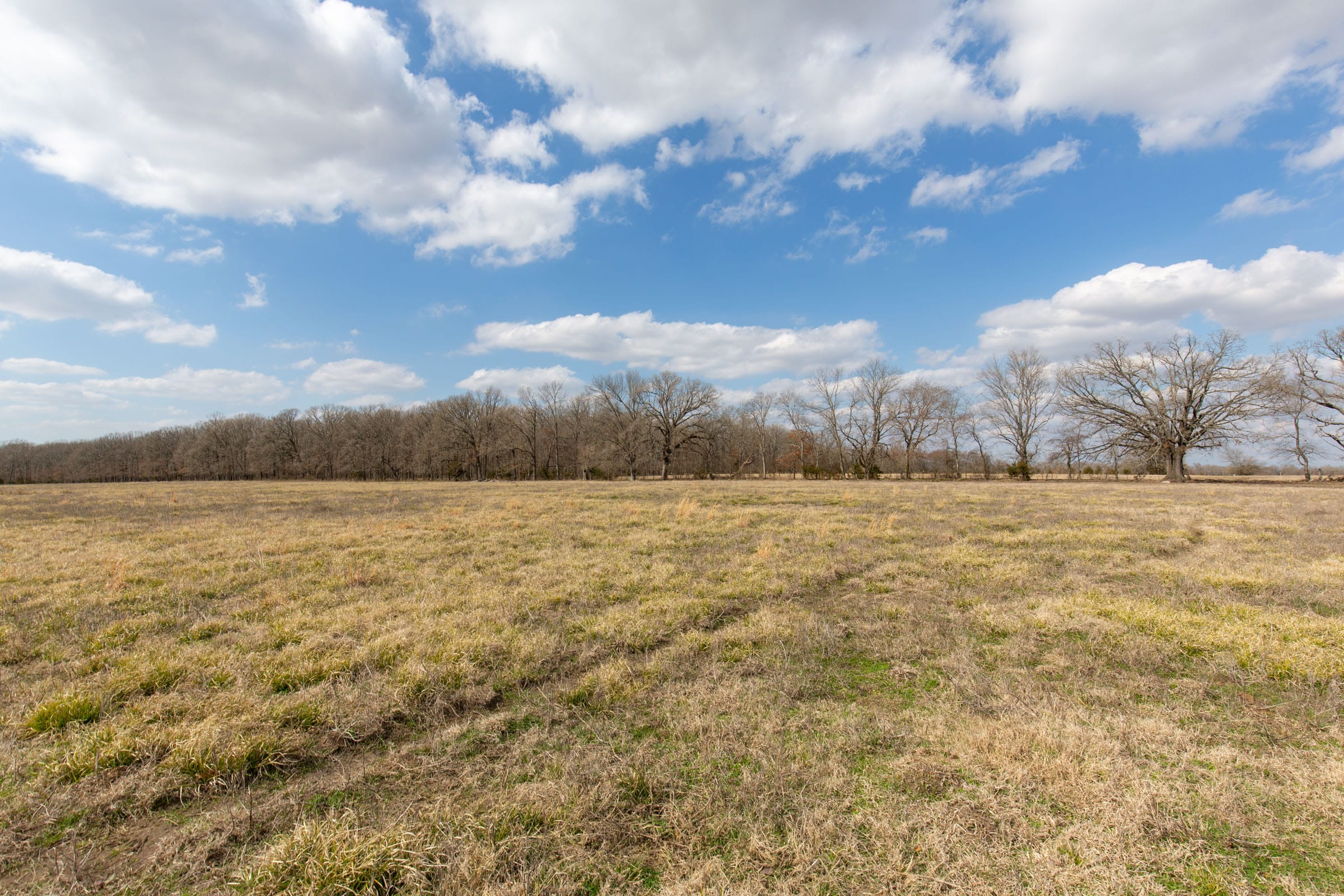 Wishing Star Ranch Tract 70 photo 5