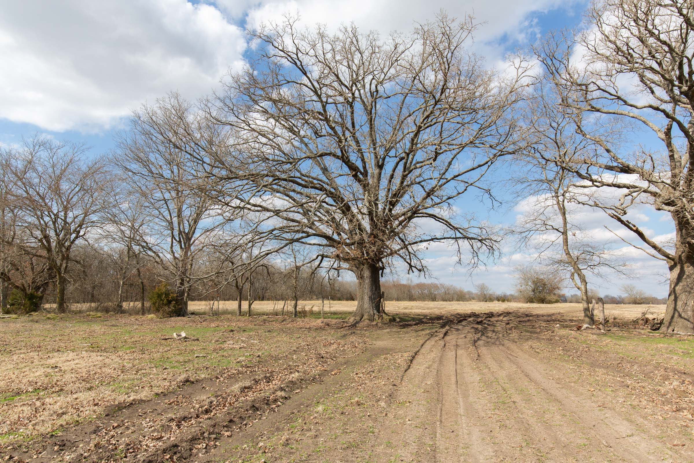 Wishing Star Ranch Tract 70 photo 4