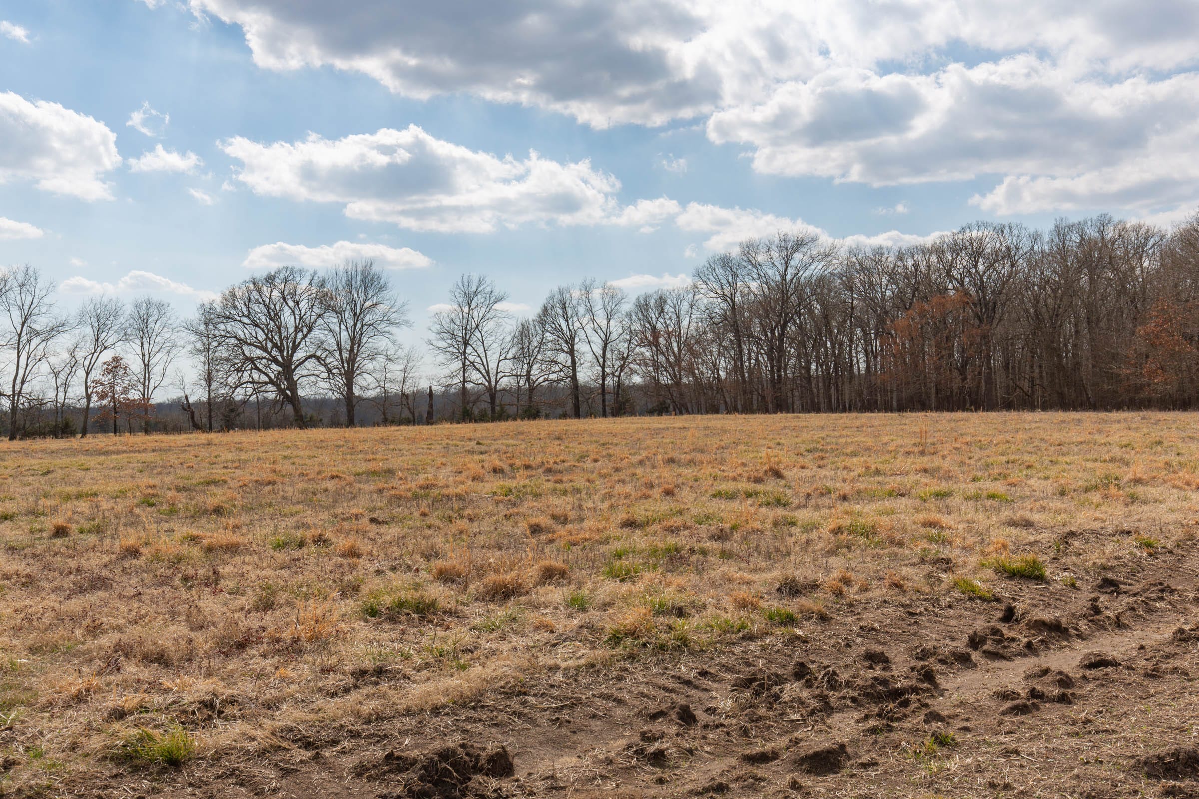 Wishing Star Ranch Tract 70 photo 8