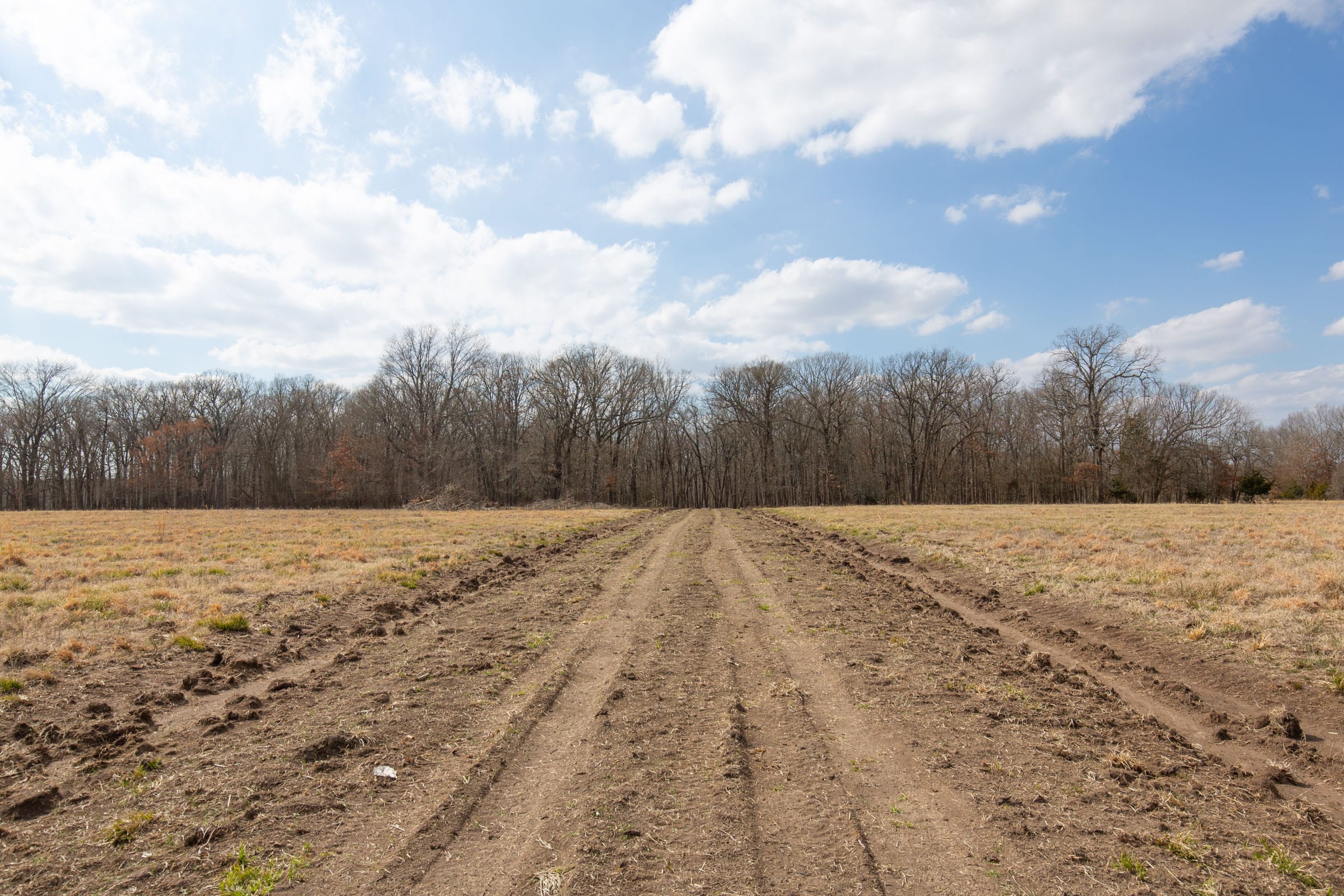 Wishing Star Ranch Tract 70 photo 6