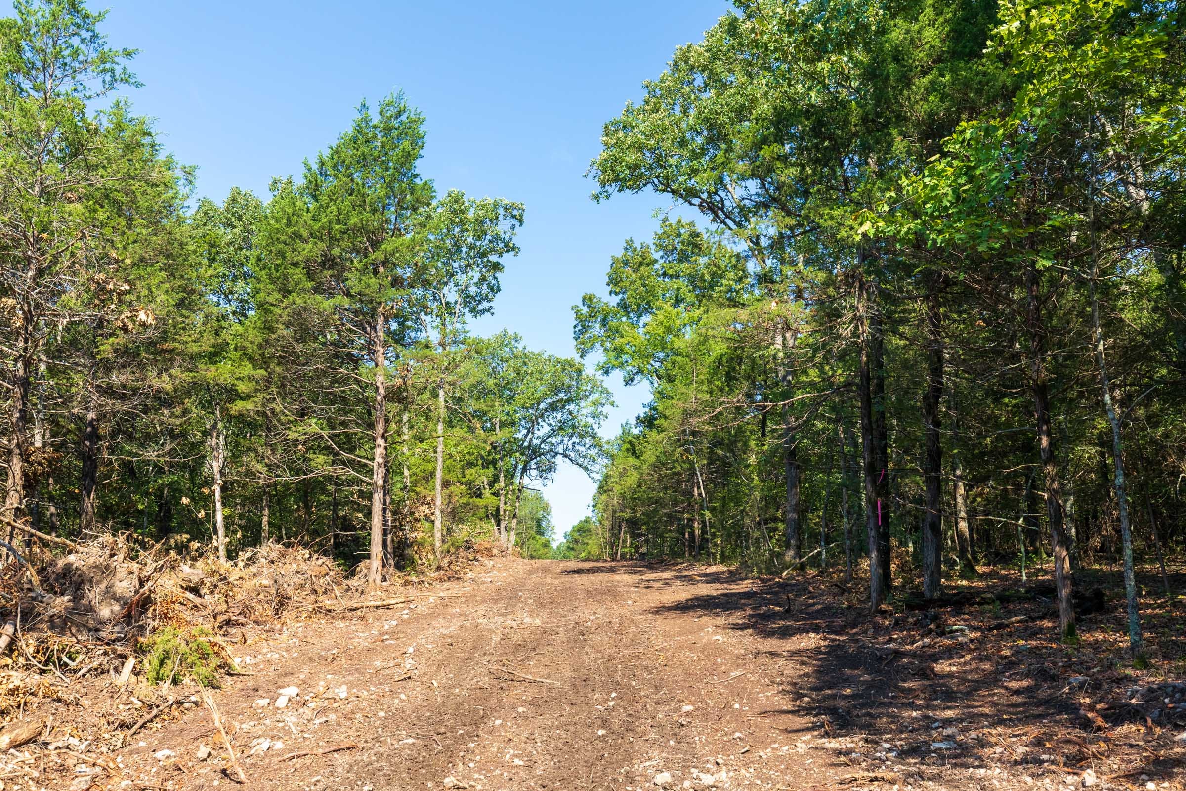 Heritage Bend Tract 18 photo 5