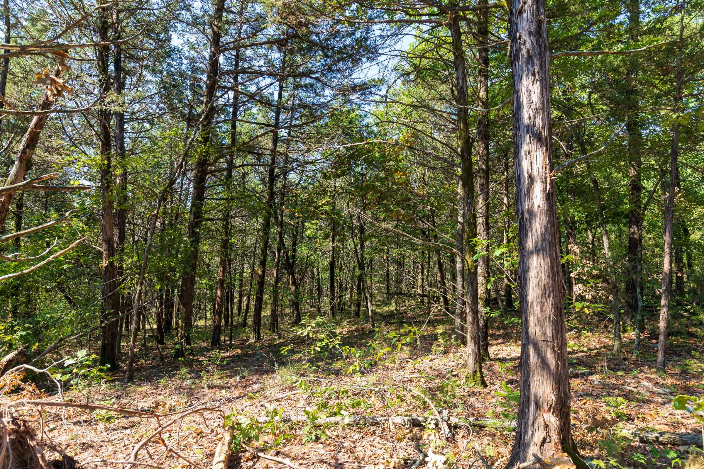 Heritage Bend Tract 18 photo 6