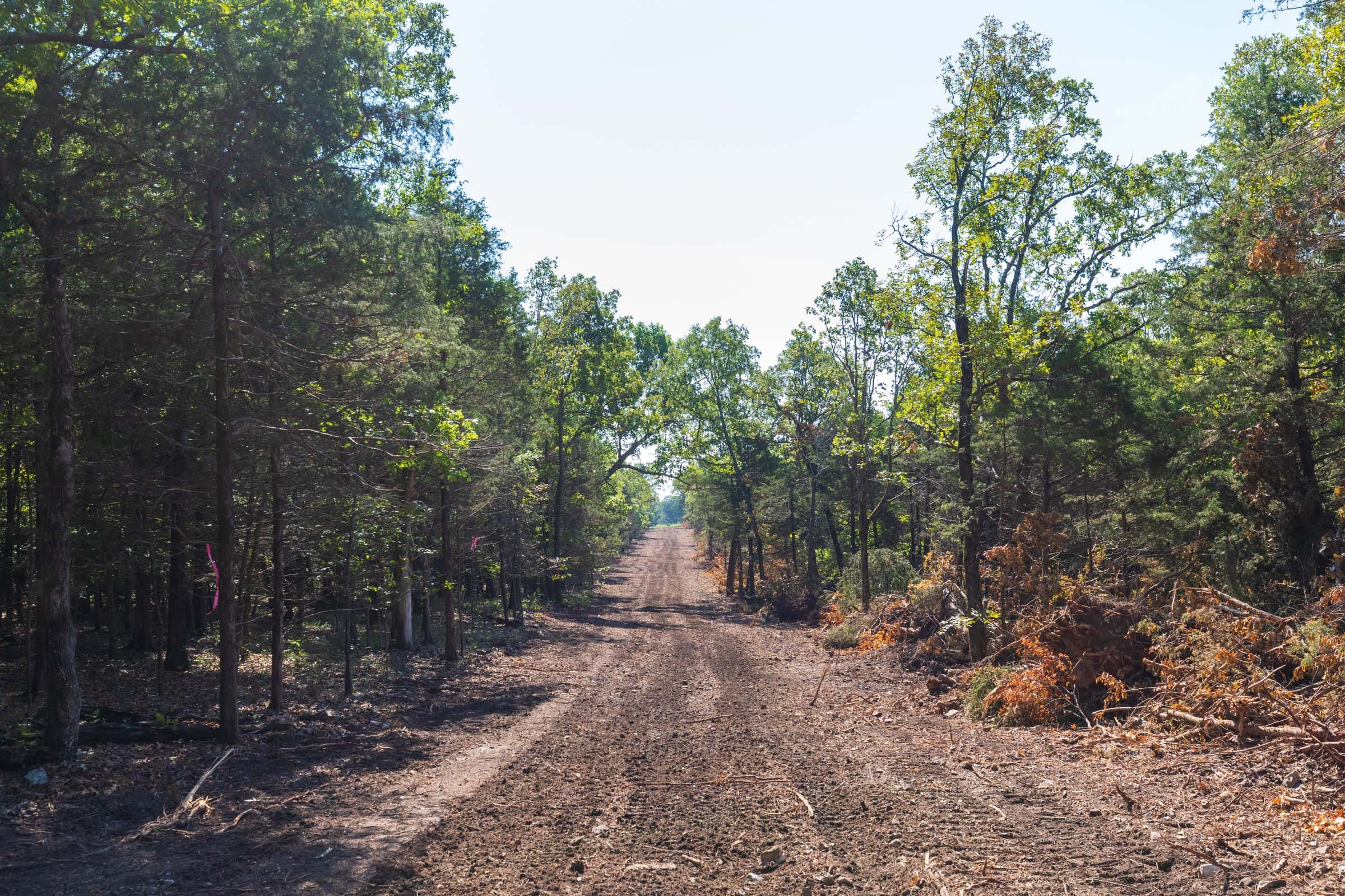 Heritage Bend Tract 18 photo 8