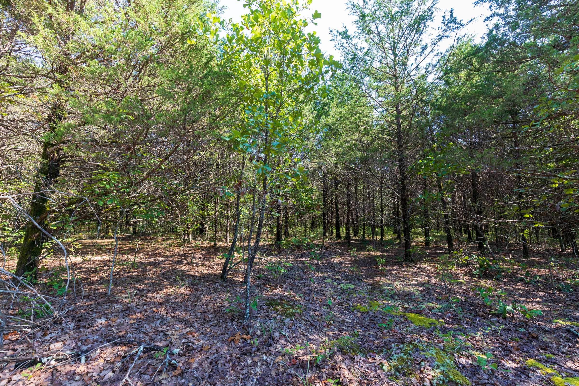 Heritage Bend Tract 18 photo 7