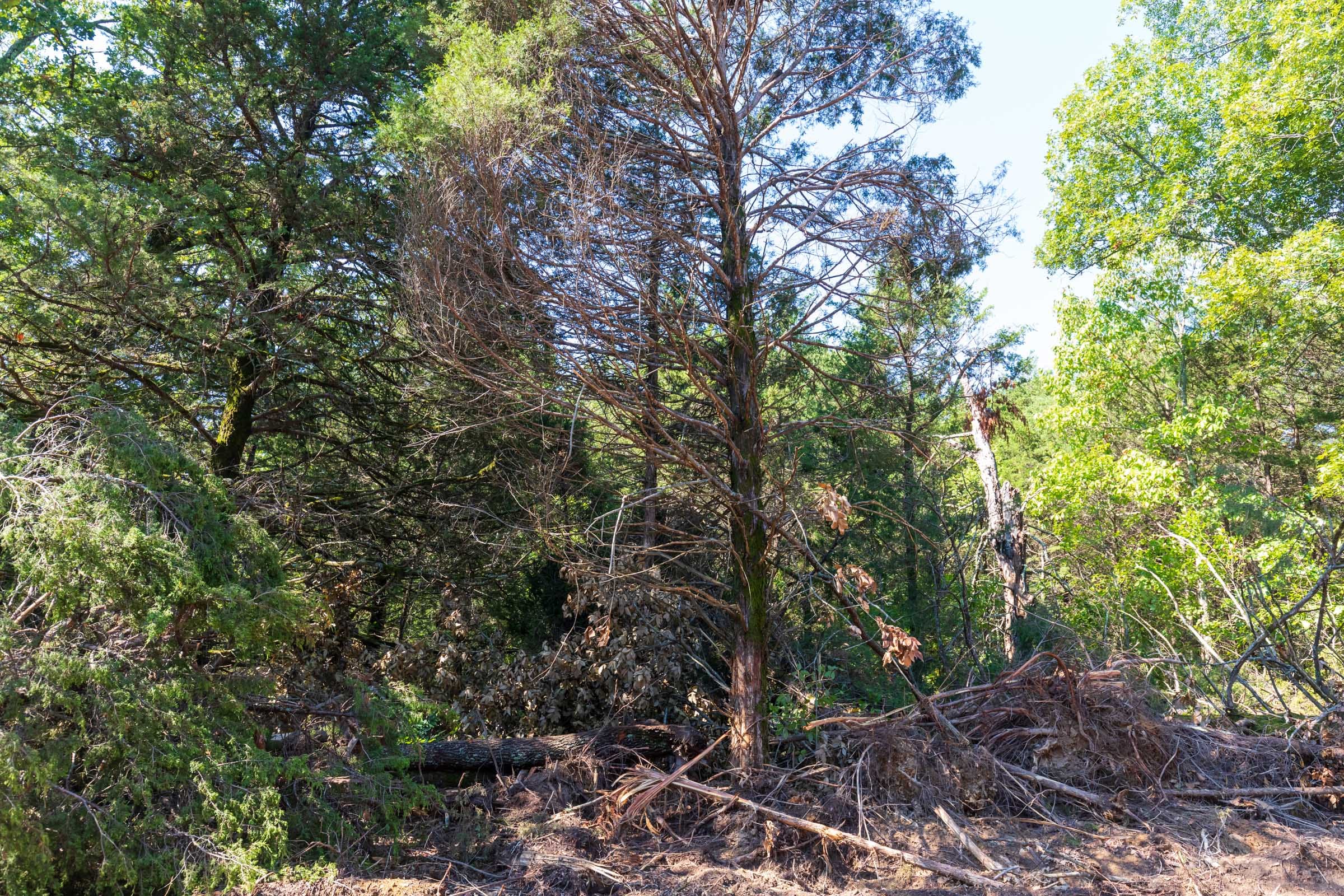 Heritage Bend Tract 18 photo 9