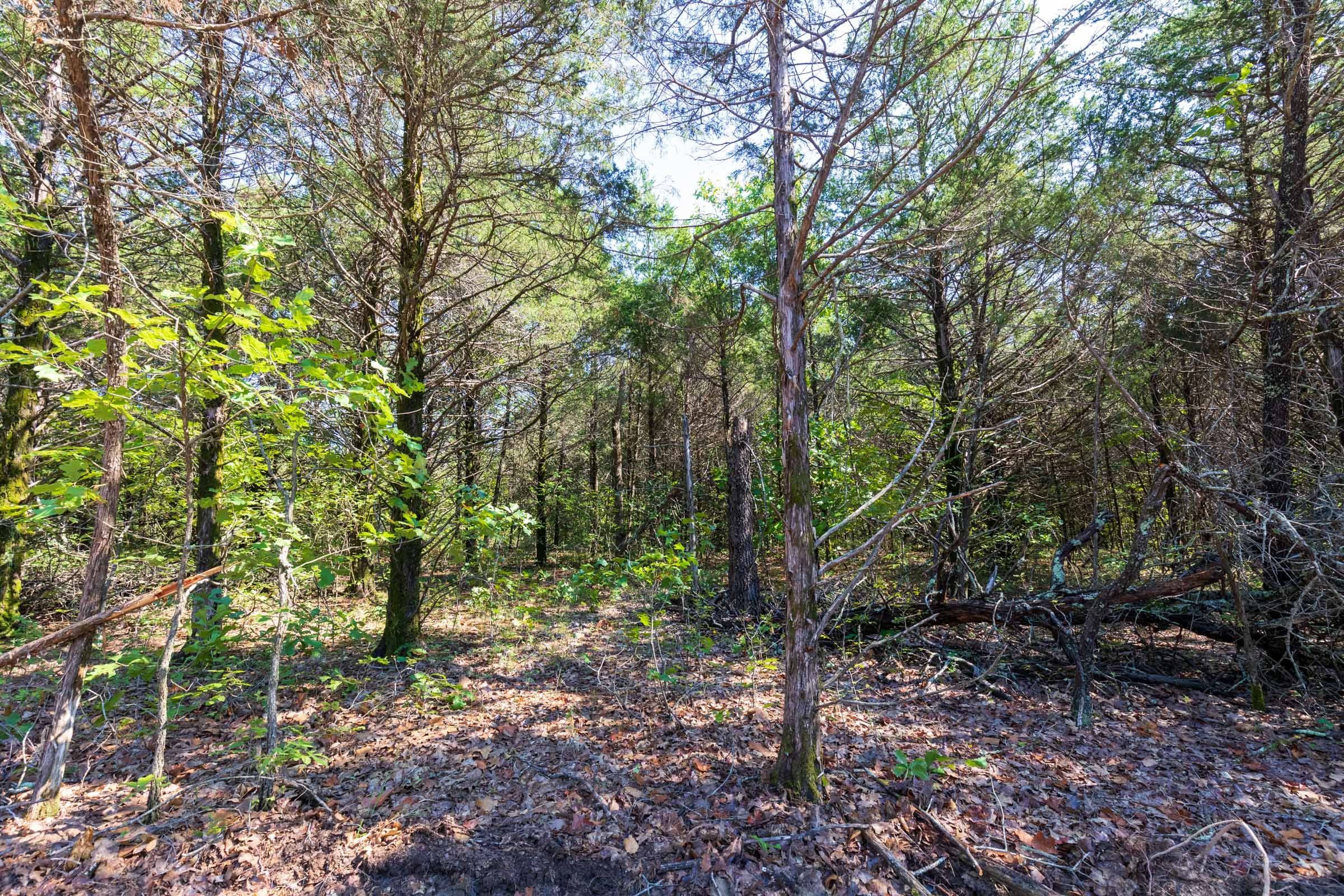 Heritage Bend Tract 18 photo 12