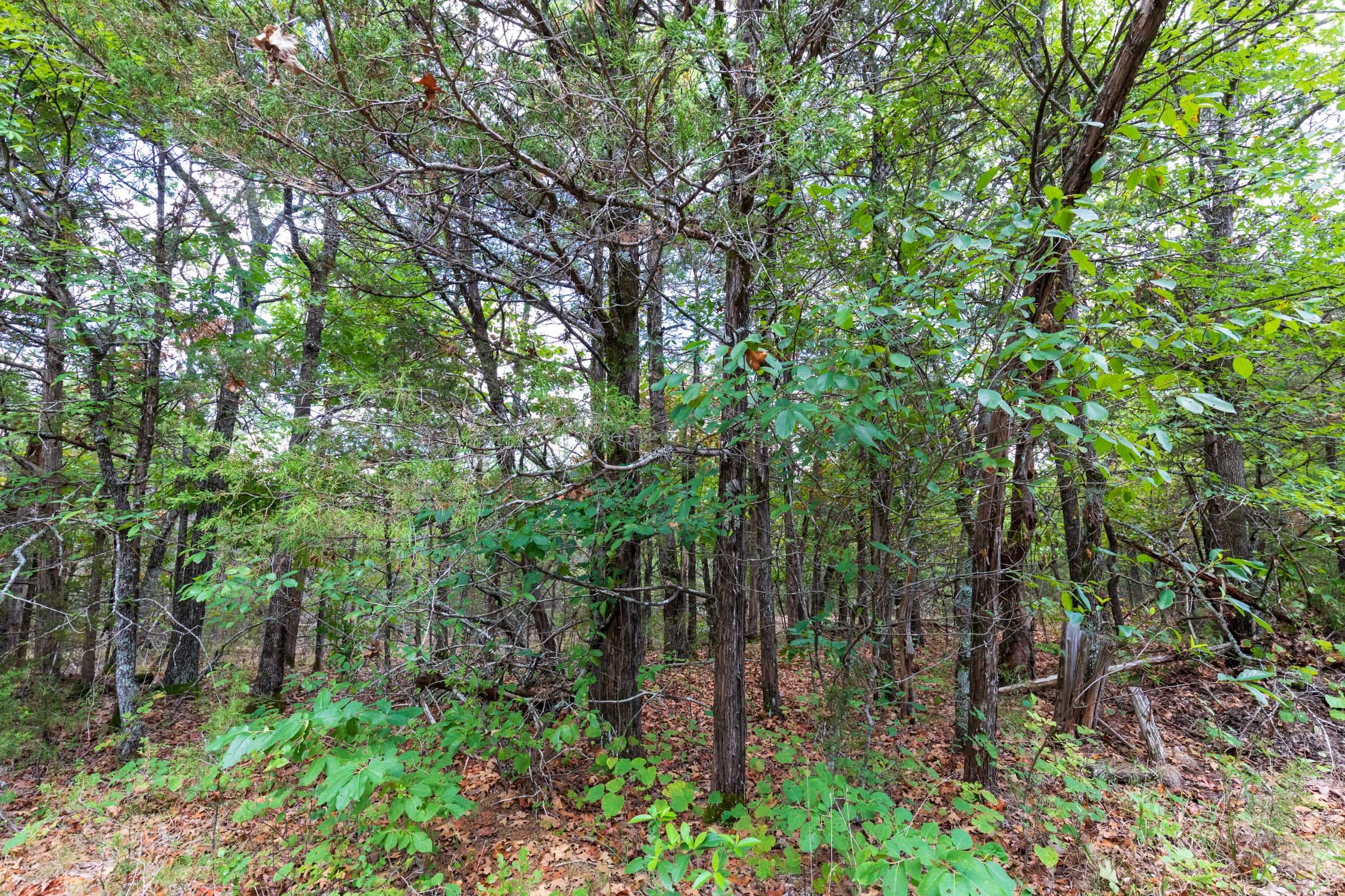 Heritage Bend Tract 18 photo 13