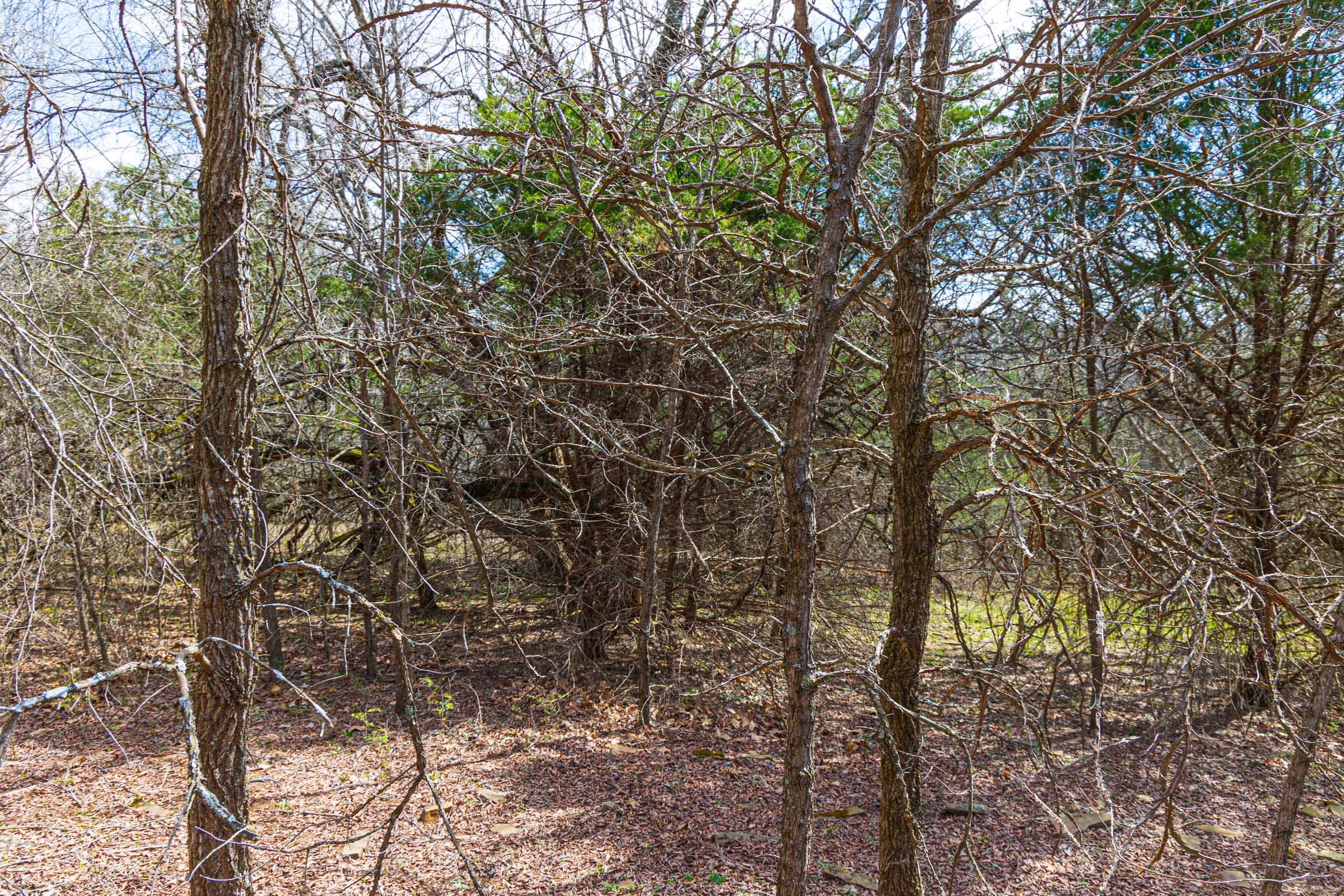 Reserves At Cattail Cove Phase I Tract 34 photo 15