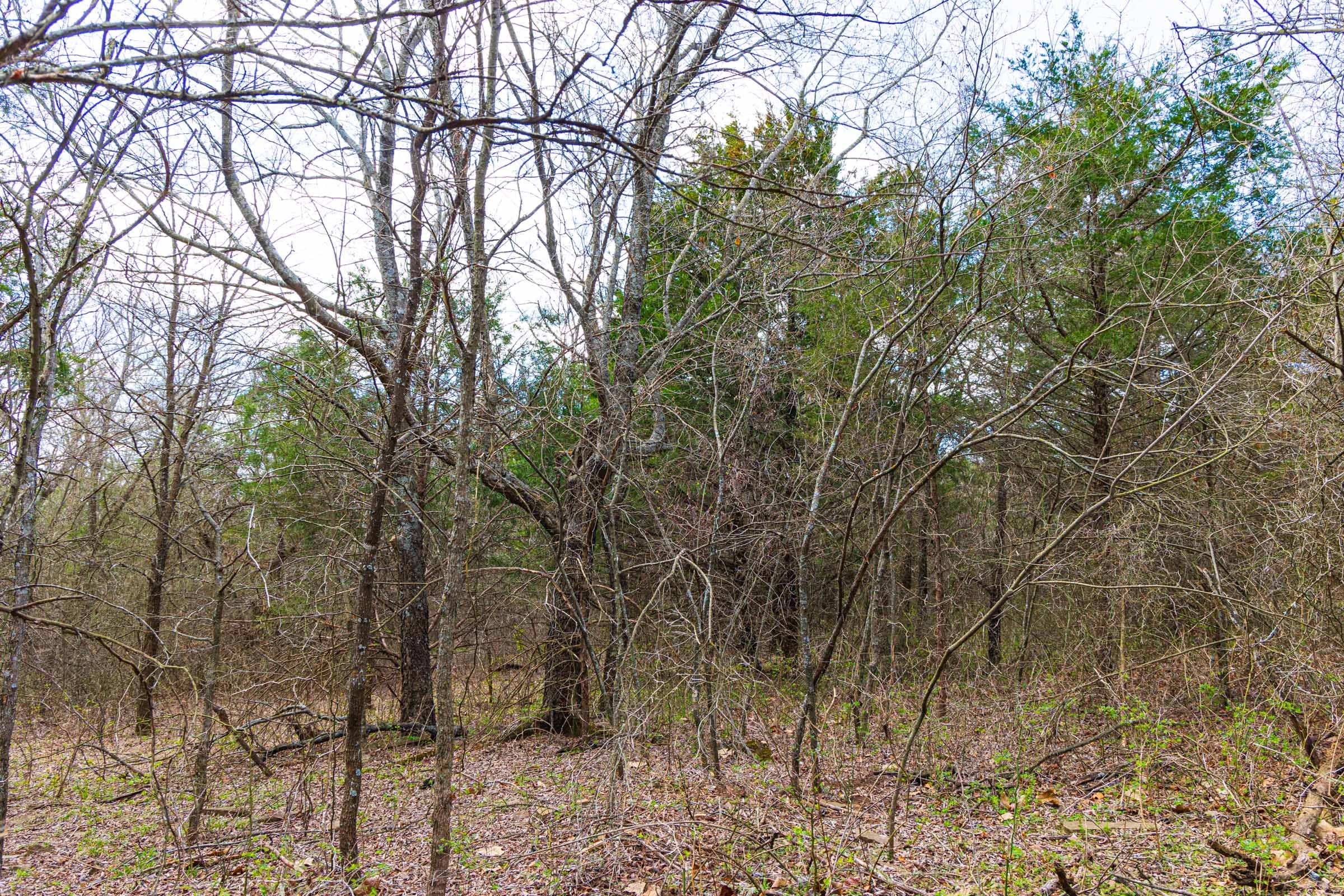 Reserves At Cattail Cove Phase I Tract 34 photo 13