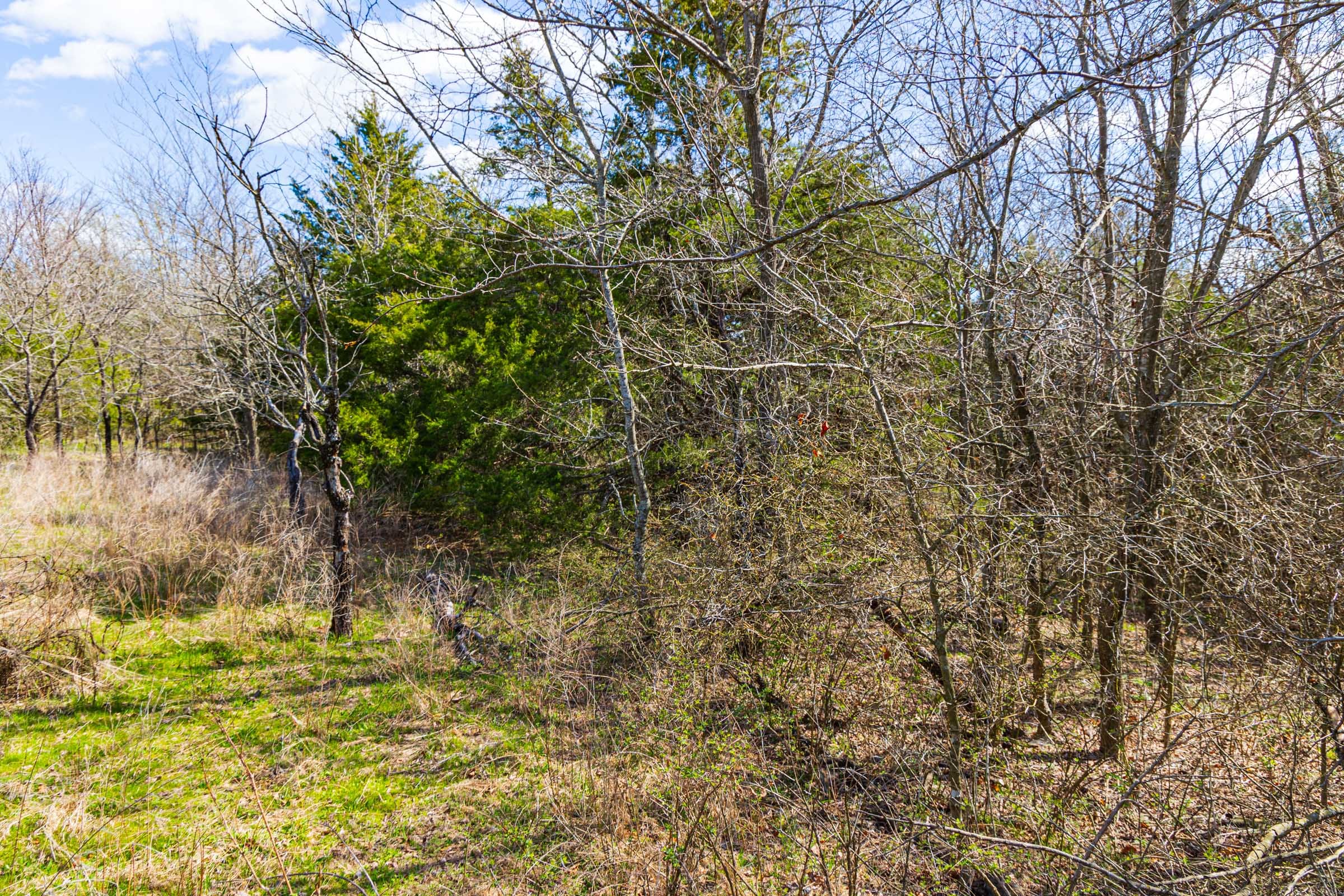 Reserves At Cattail Cove Phase I Tract 34 photo 14