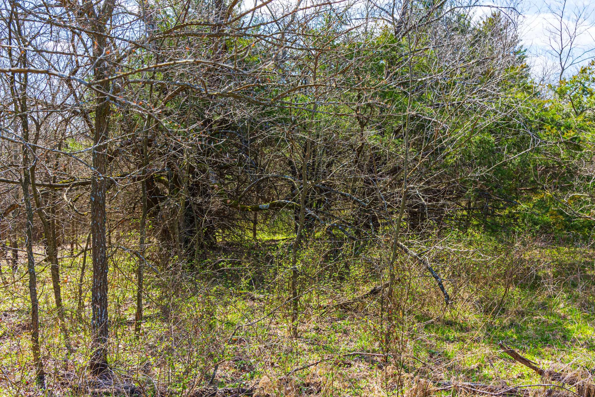 Reserves At Cattail Cove Phase I Tract 34 photo 12