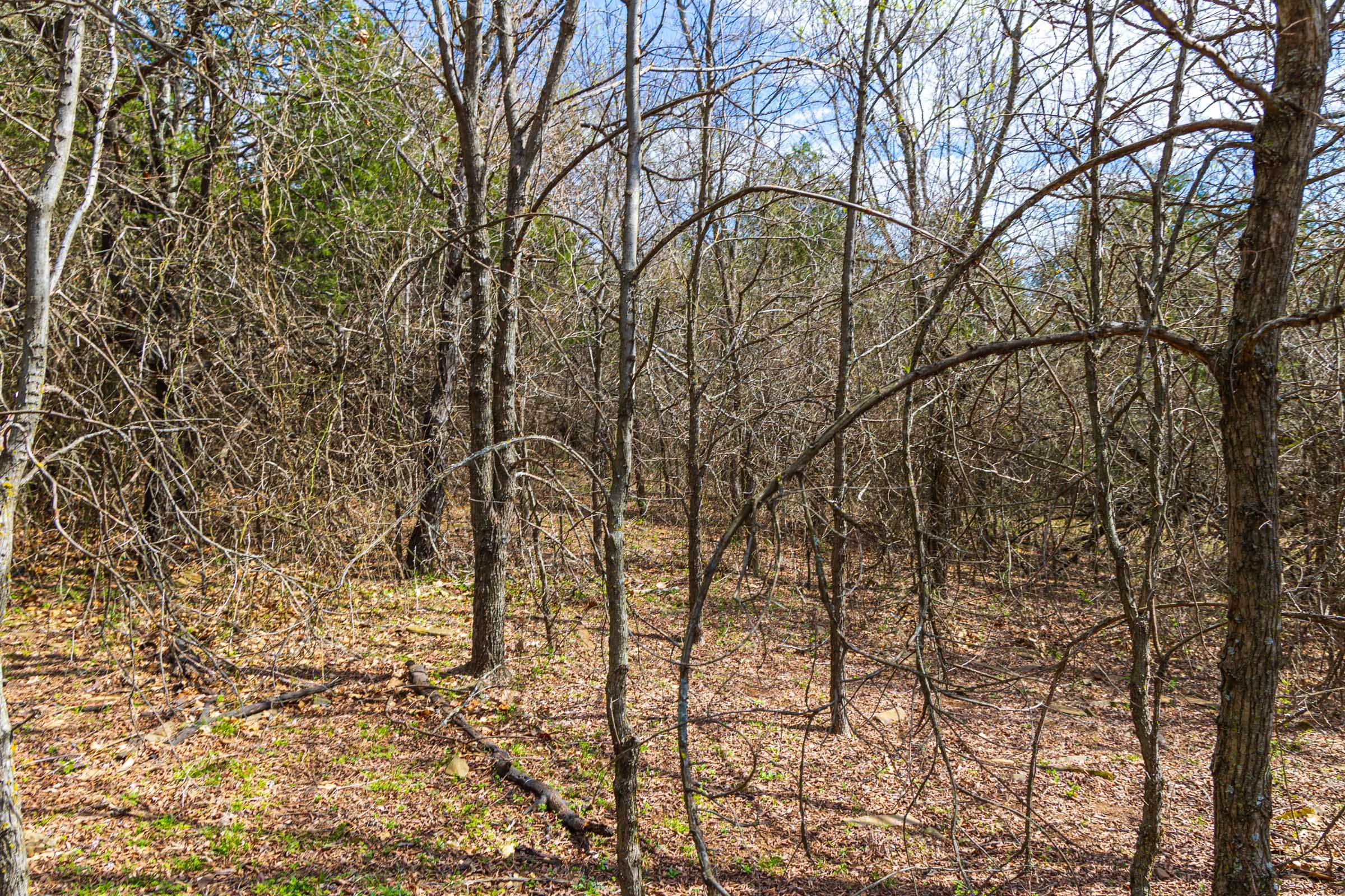 Reserves At Cattail Cove Phase I Tract 34 photo 1