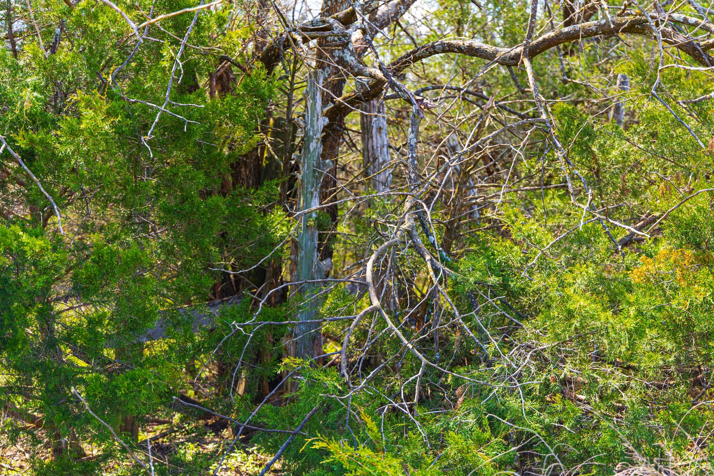Reserves At Cattail Cove Phase I Tract 34 photo 10