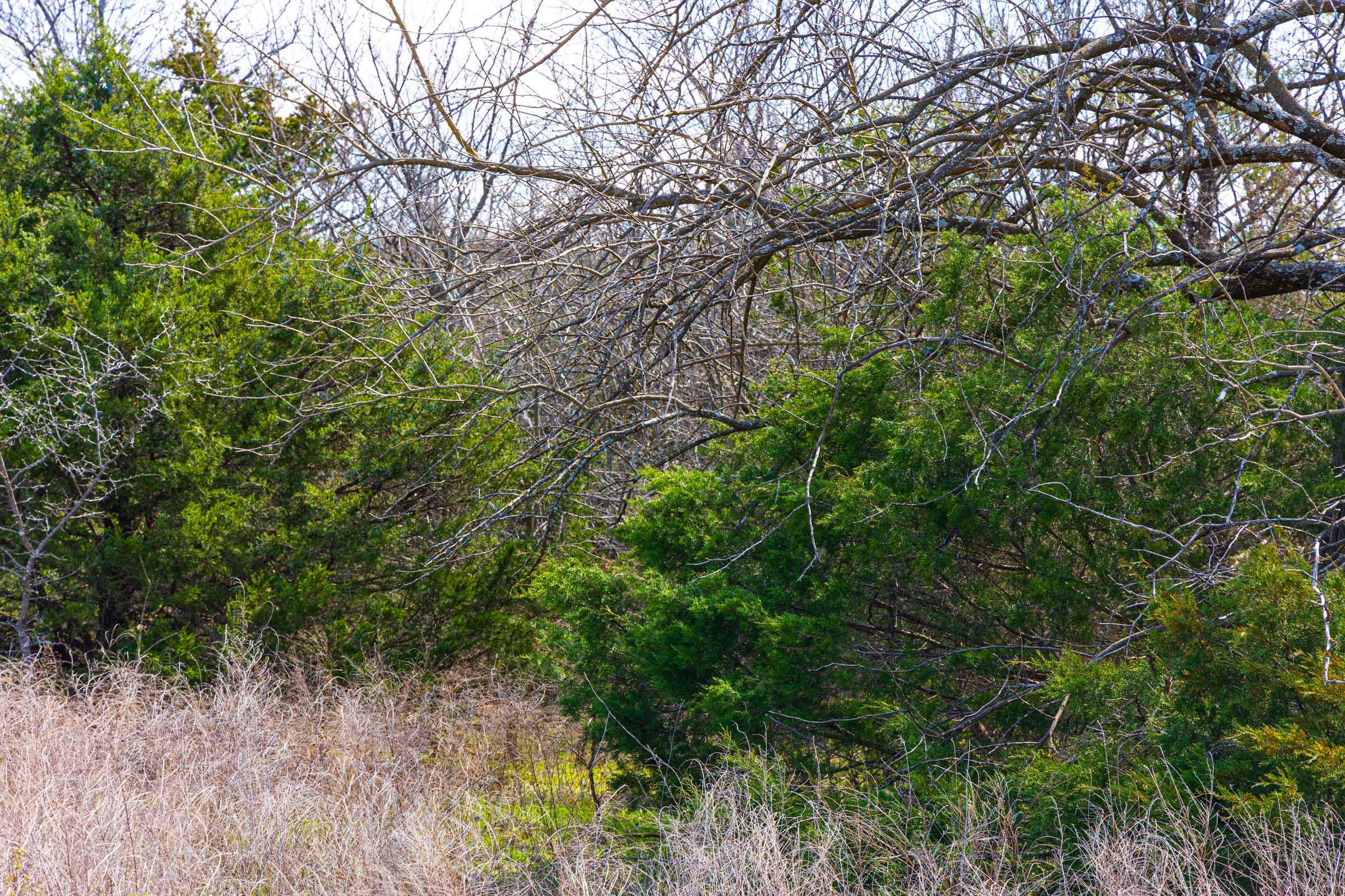 Reserves At Cattail Cove Phase I Tract 34 photo 9