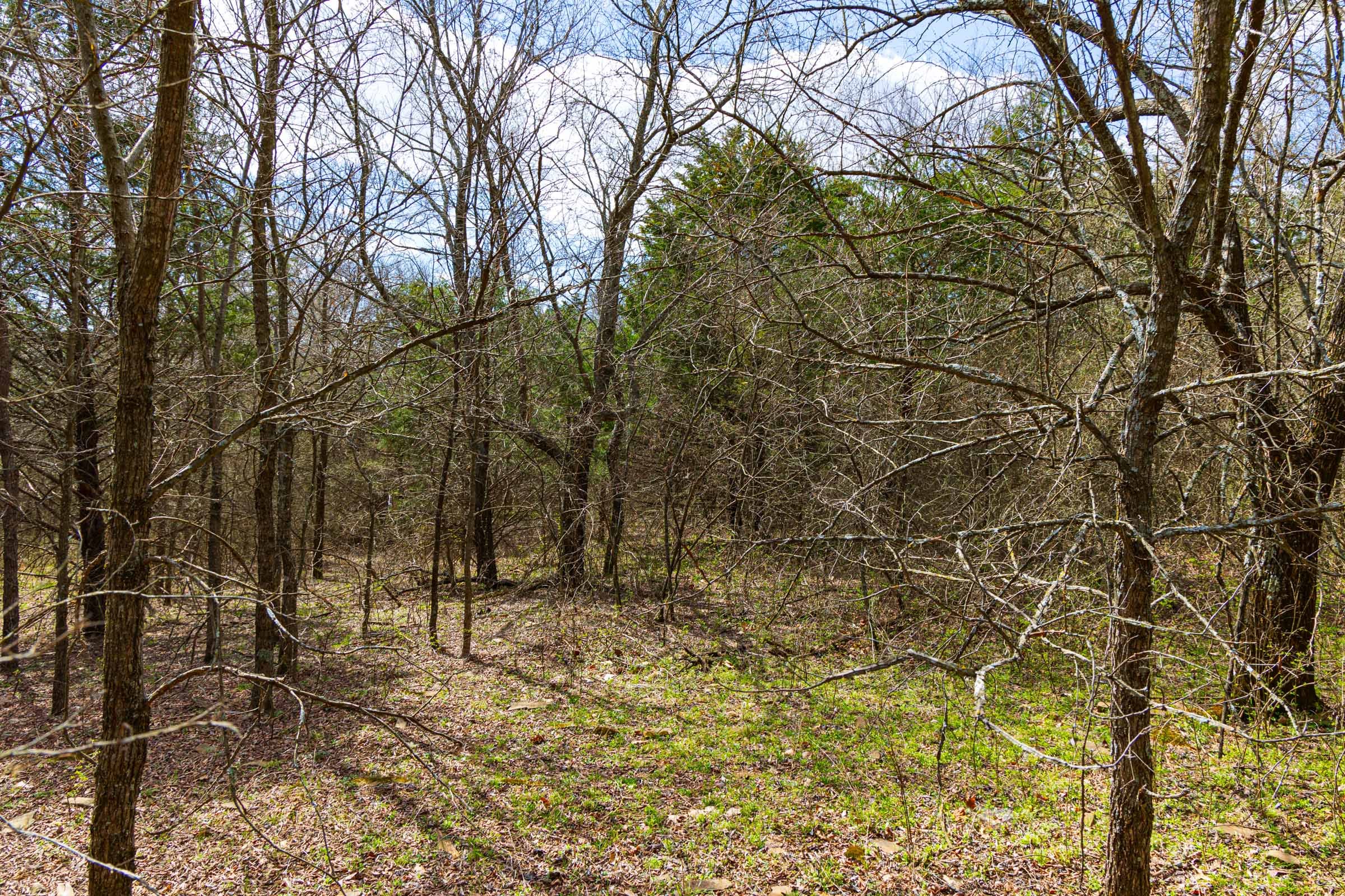 Reserves At Cattail Cove Phase I Tract 34 photo 8