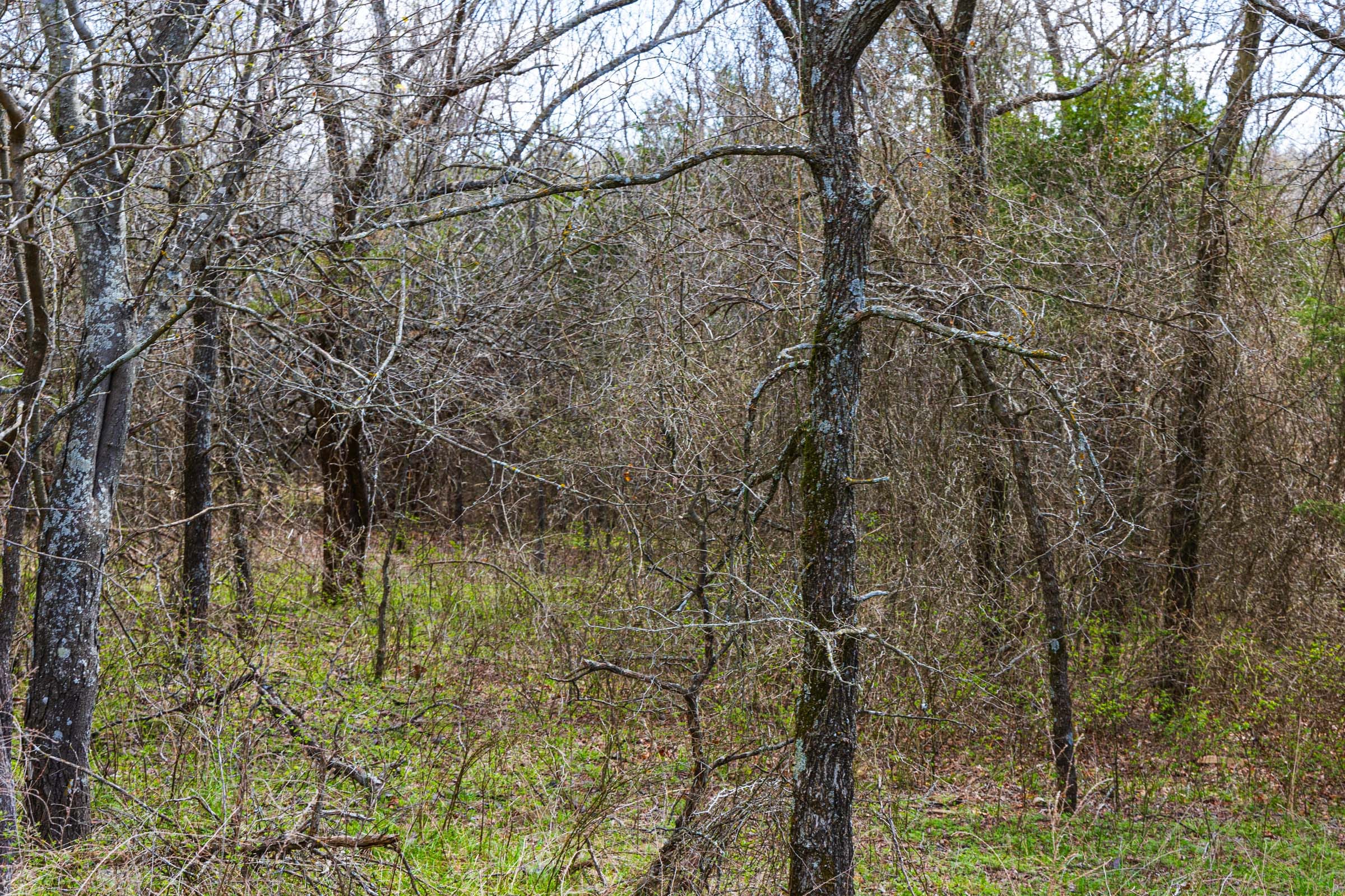 Reserves At Cattail Cove Phase I Tract 34 photo 7