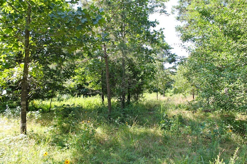 Green Mountain Ranch Tract 11 photo 2