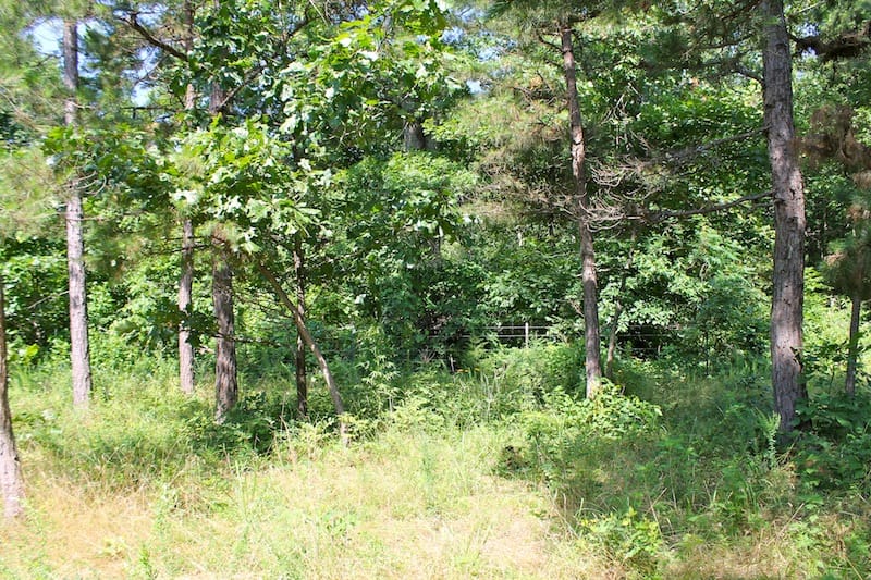 Green Mountain Ranch Tract 11 photo 5