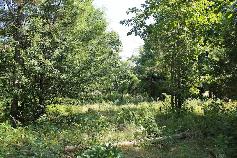 Green Mountain Ranch Tract 11 photo 6