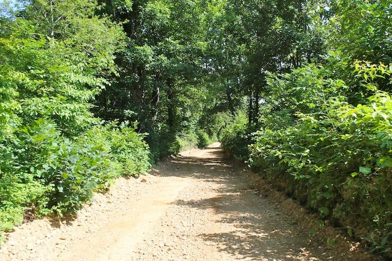 Green Mountain Ranch Tract 11 photo 1