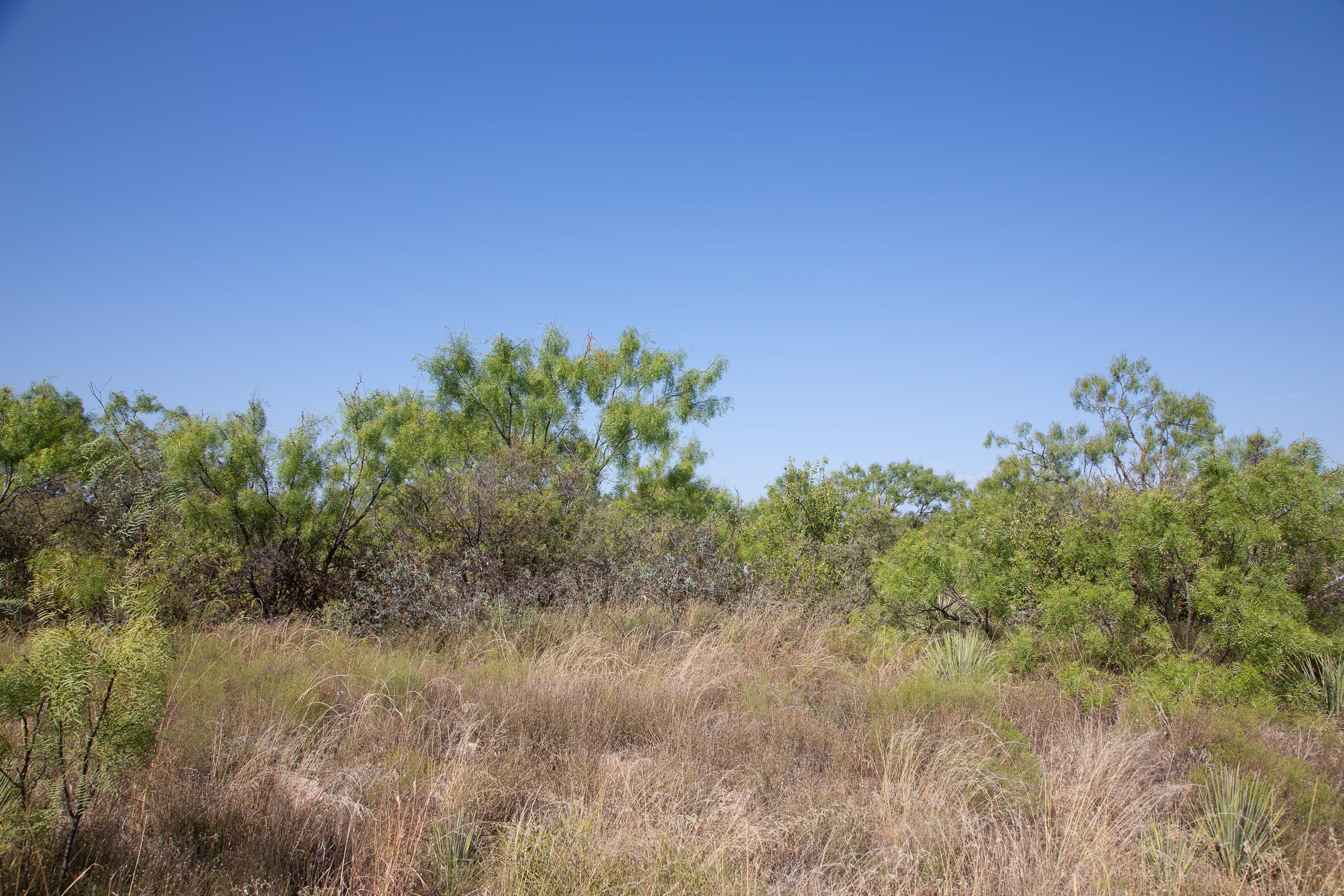 Hunter’s Ranch Tract 1 photo 2