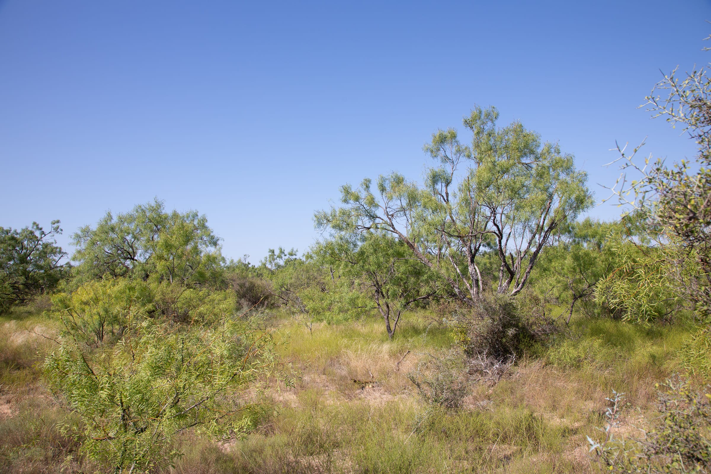Hunter’s Ranch Tract 1 photo 3