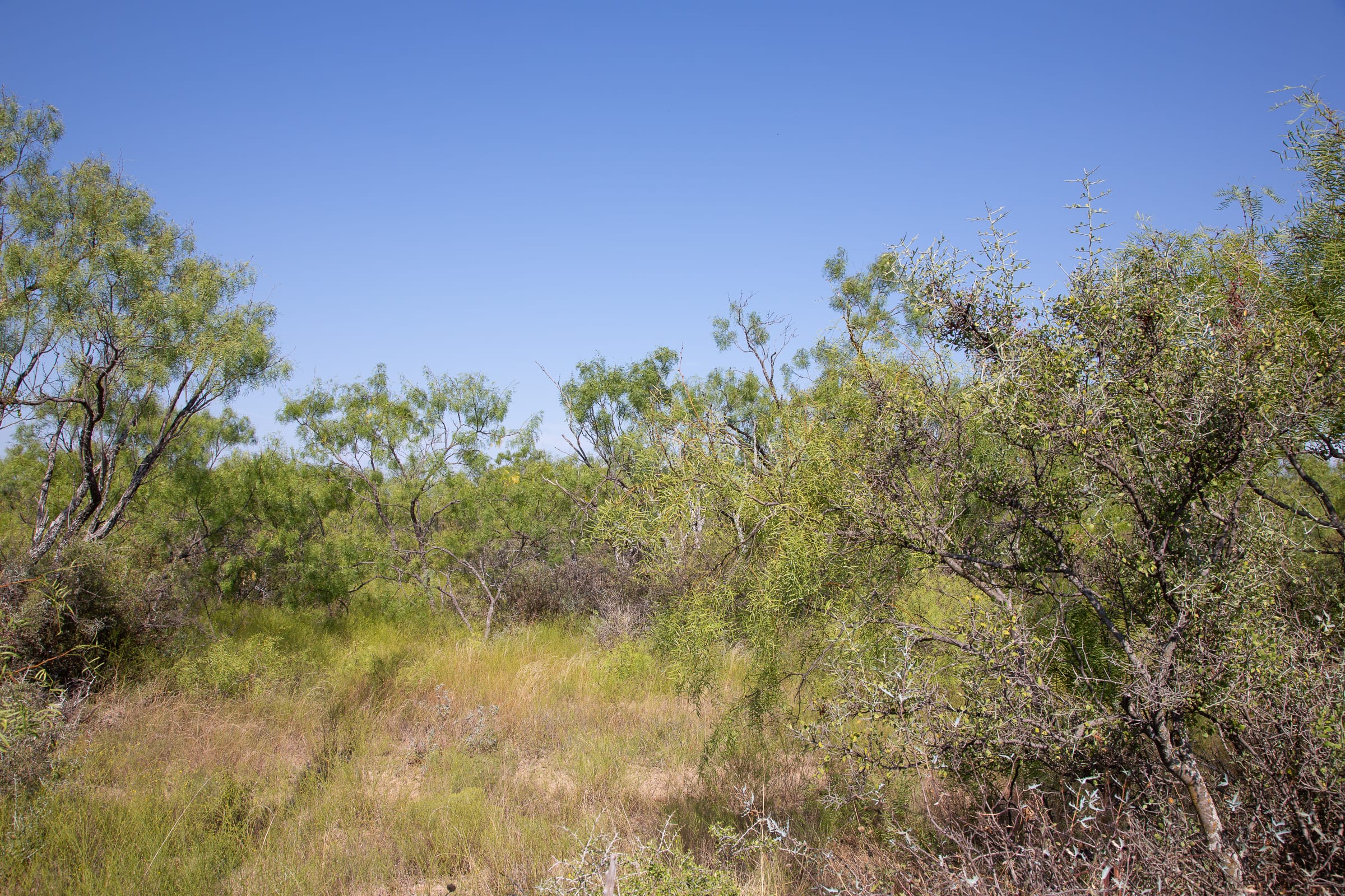 Hunter’s Ranch Tract 1 photo 4