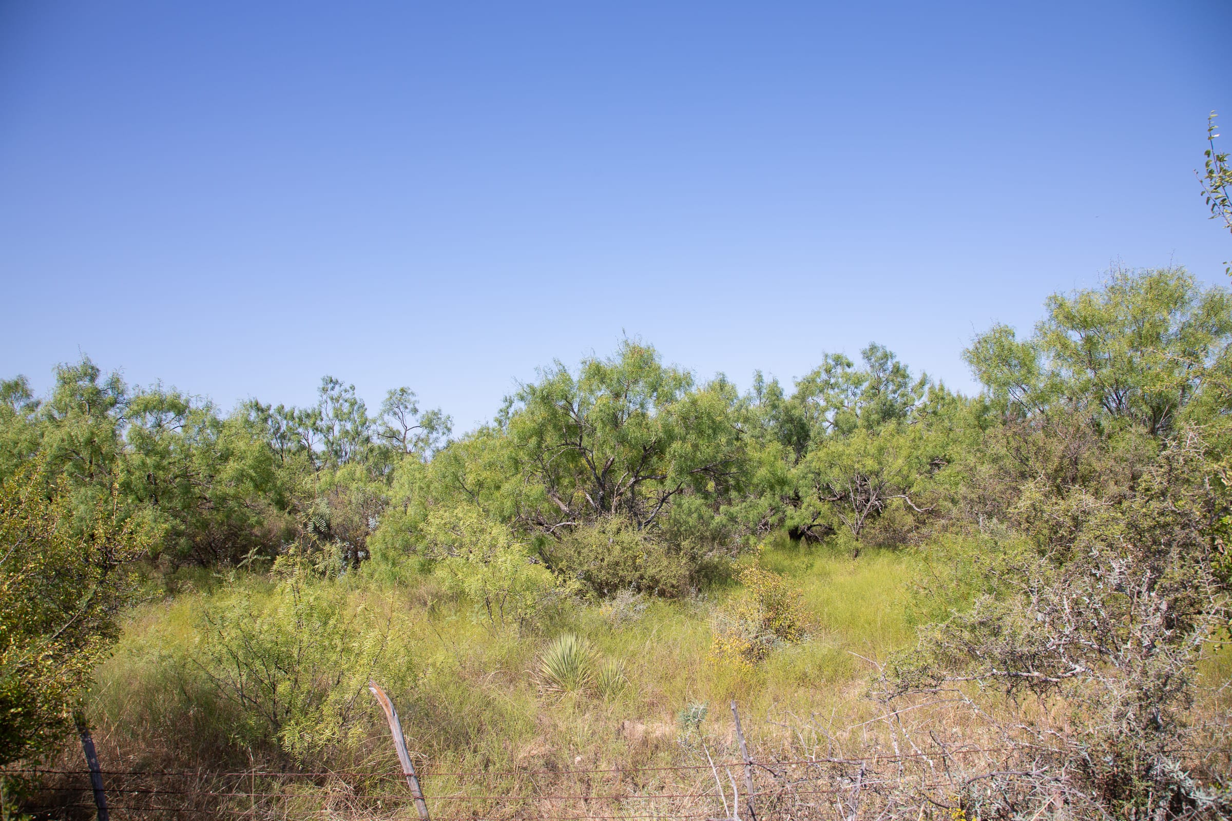Hunter’s Ranch Tract 1 photo 5