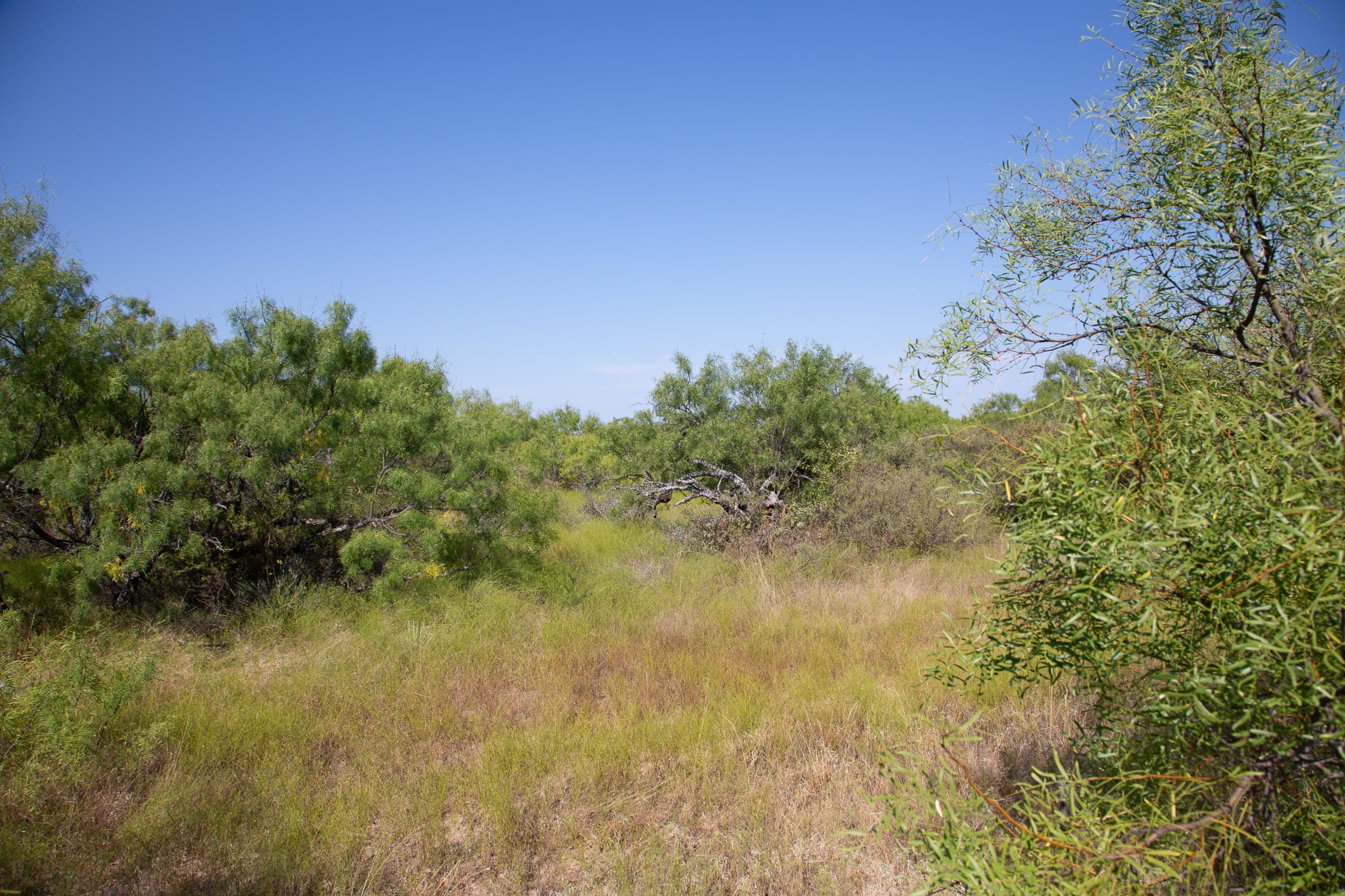 Hunter’s Ranch Tract 1 photo 6