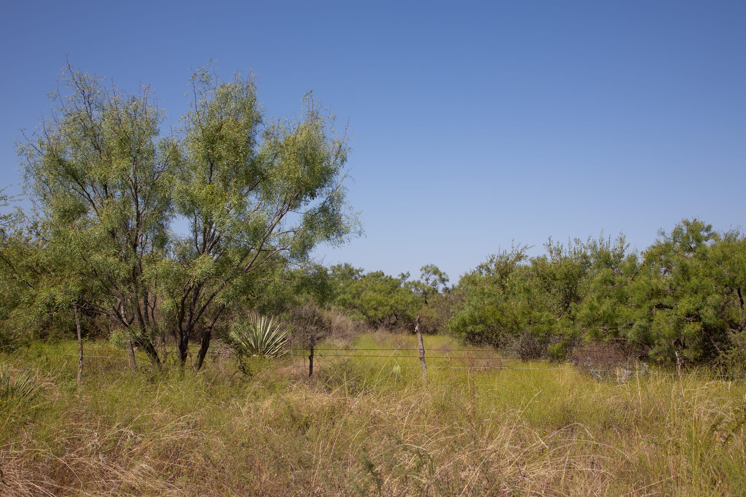 Hunter’s Ranch Tract 1 photo 11