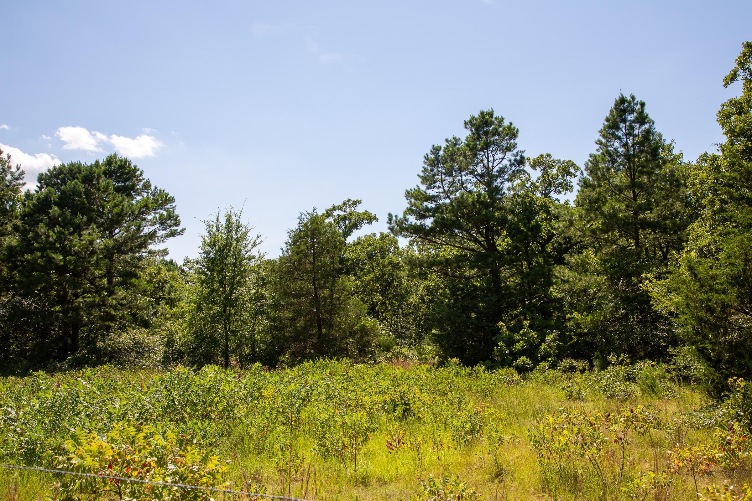 Tyler Stone Ranch Tract 12 photo 9