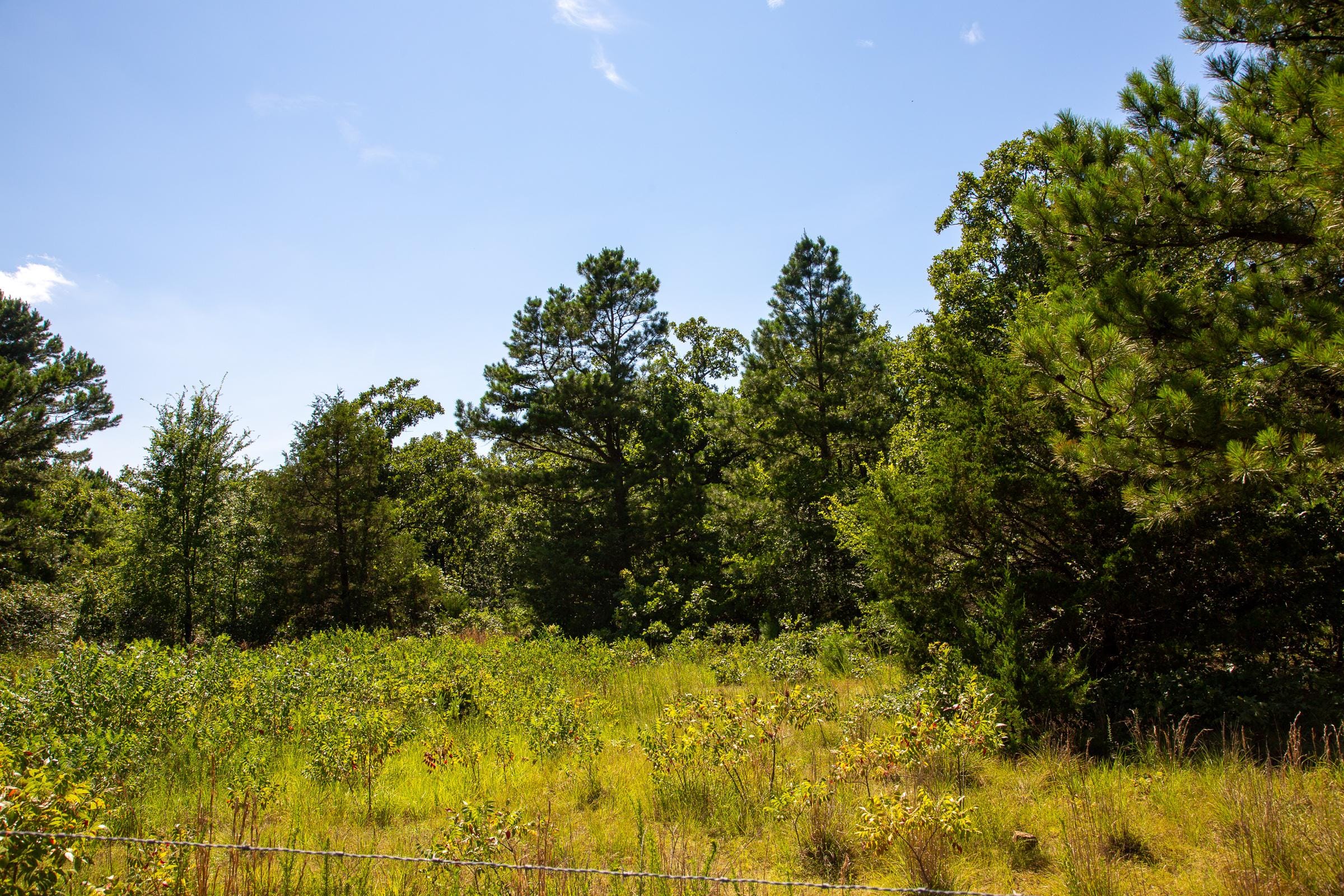 Tyler Stone Ranch Tract 12 photo 11