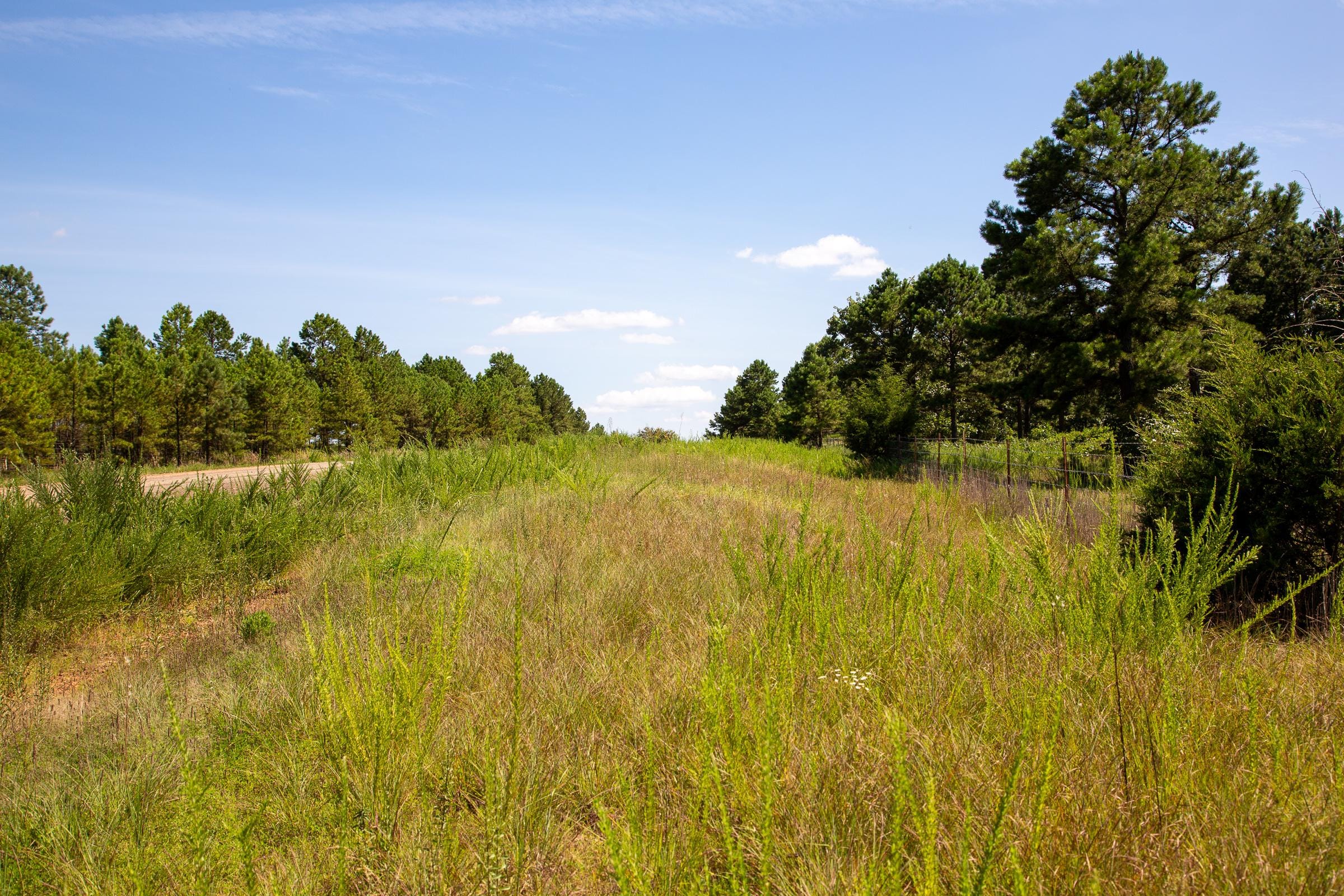 Tyler Stone Ranch Tract 12 photo 12