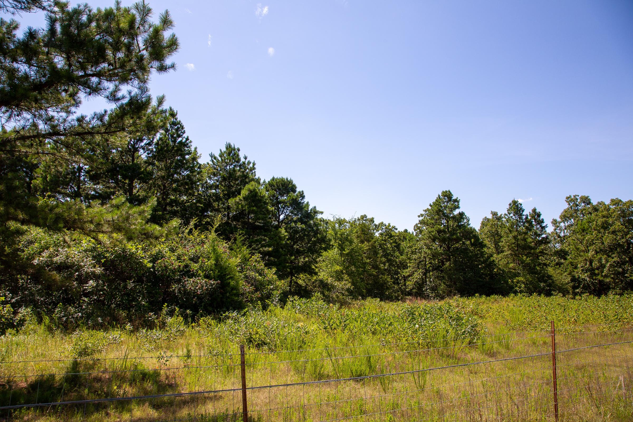 Tyler Stone Ranch Tract 12 photo 14