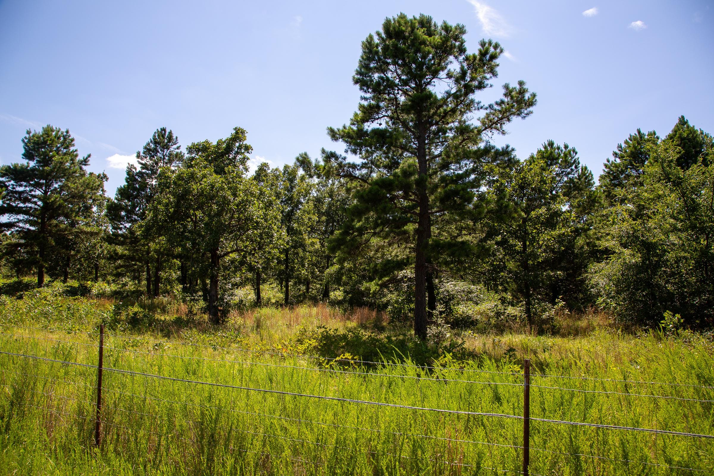 Tyler Stone Ranch Tract 12 photo 1