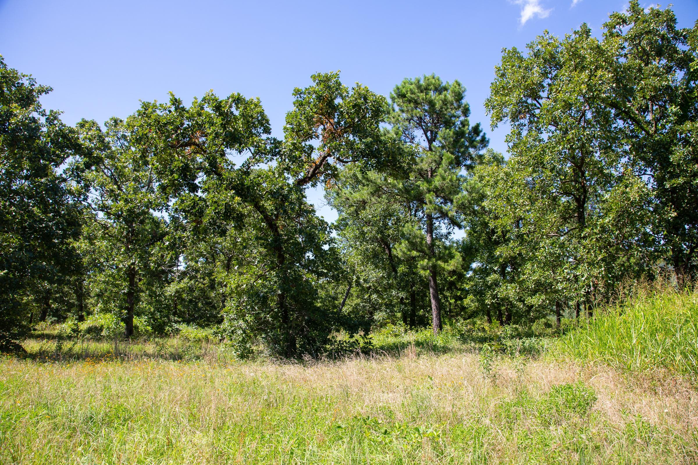 Tyler Stone Ranch Tract 12 photo 20
