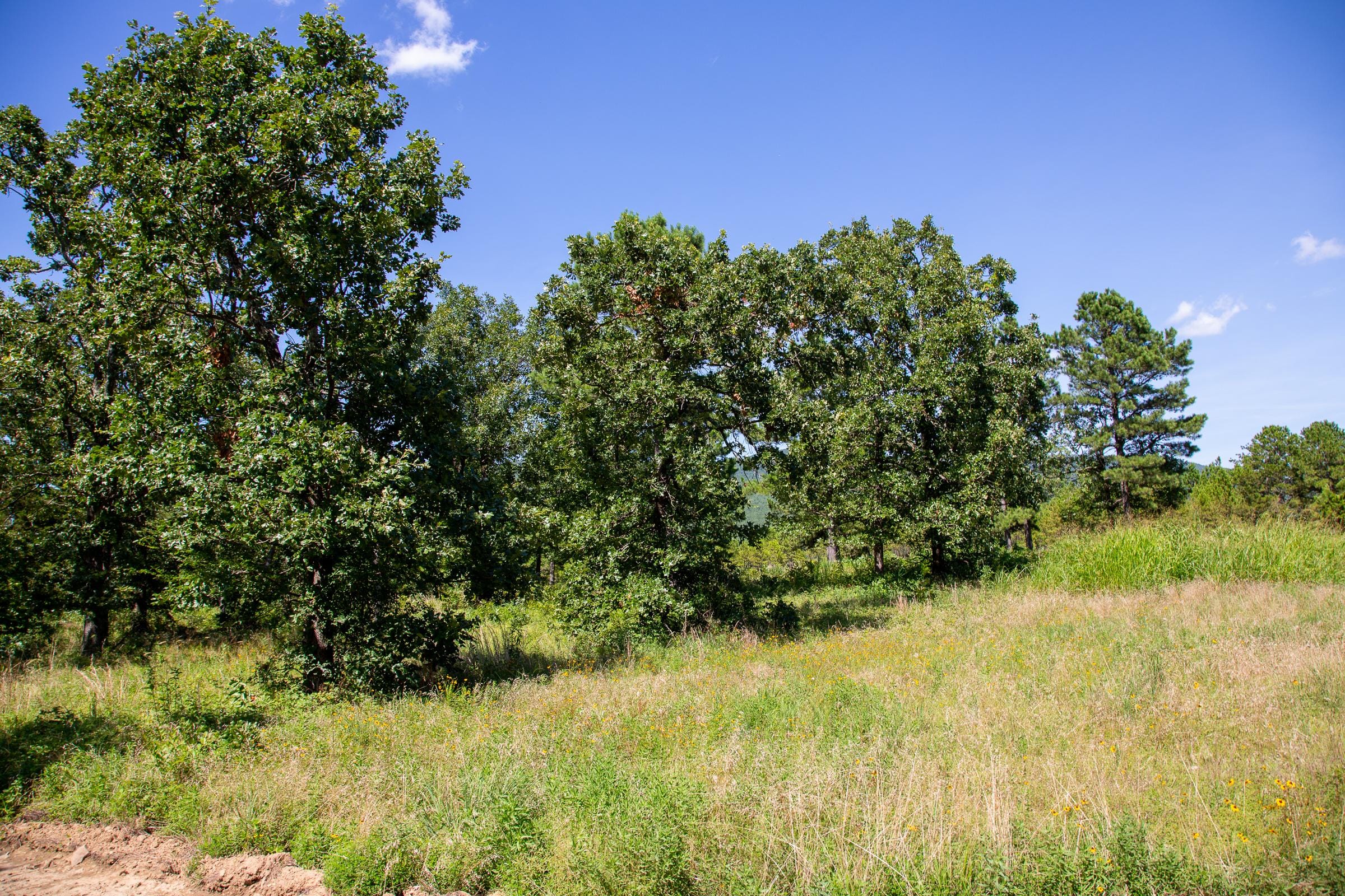 Tyler Stone Ranch Tract 12 photo 21